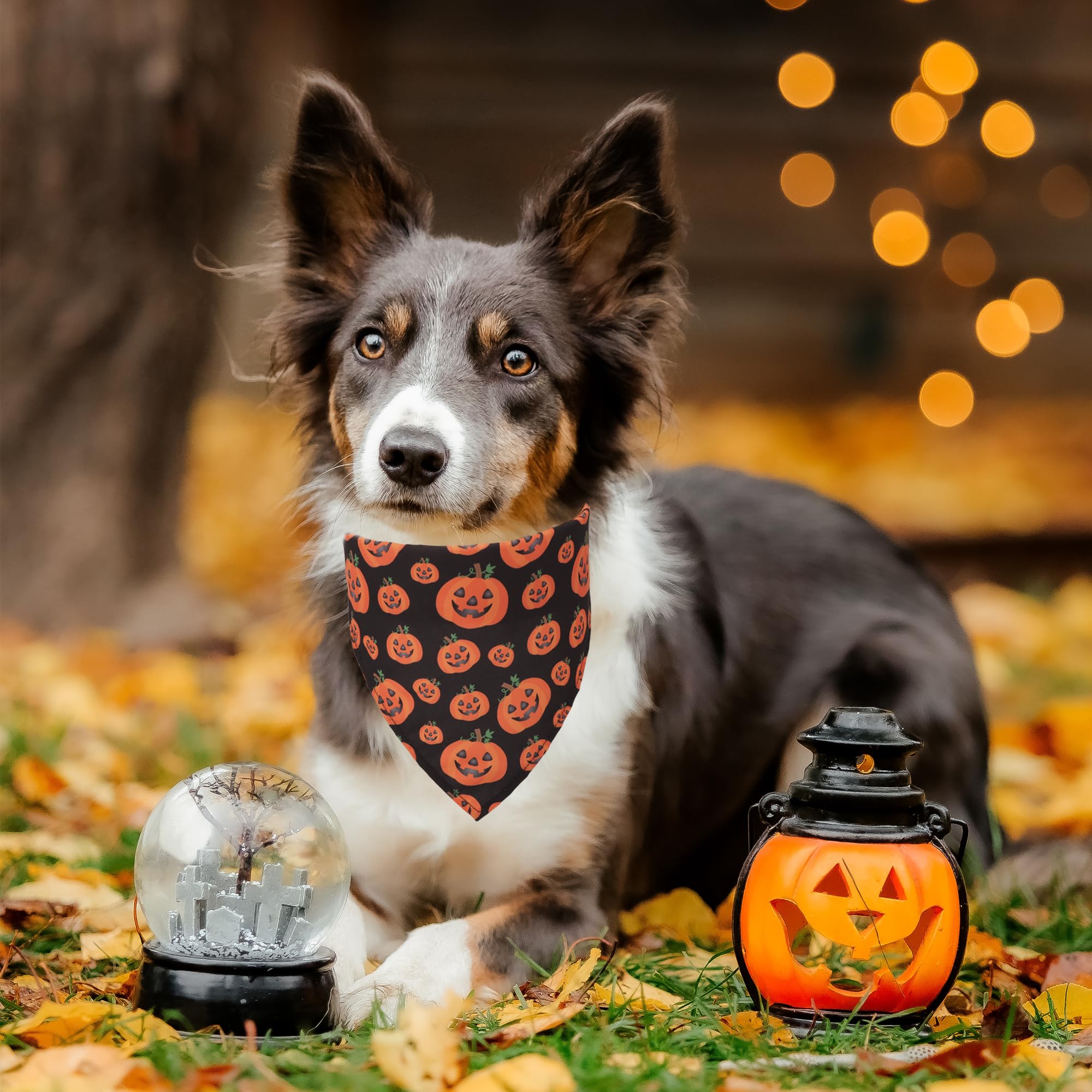 ADOGGYGO 4 Pack Halloween Dog Bandana, Pumpkin Ghost Dog Scarf Bib, Pet Halloween Bandanas Costume Accessories for Large X-Large