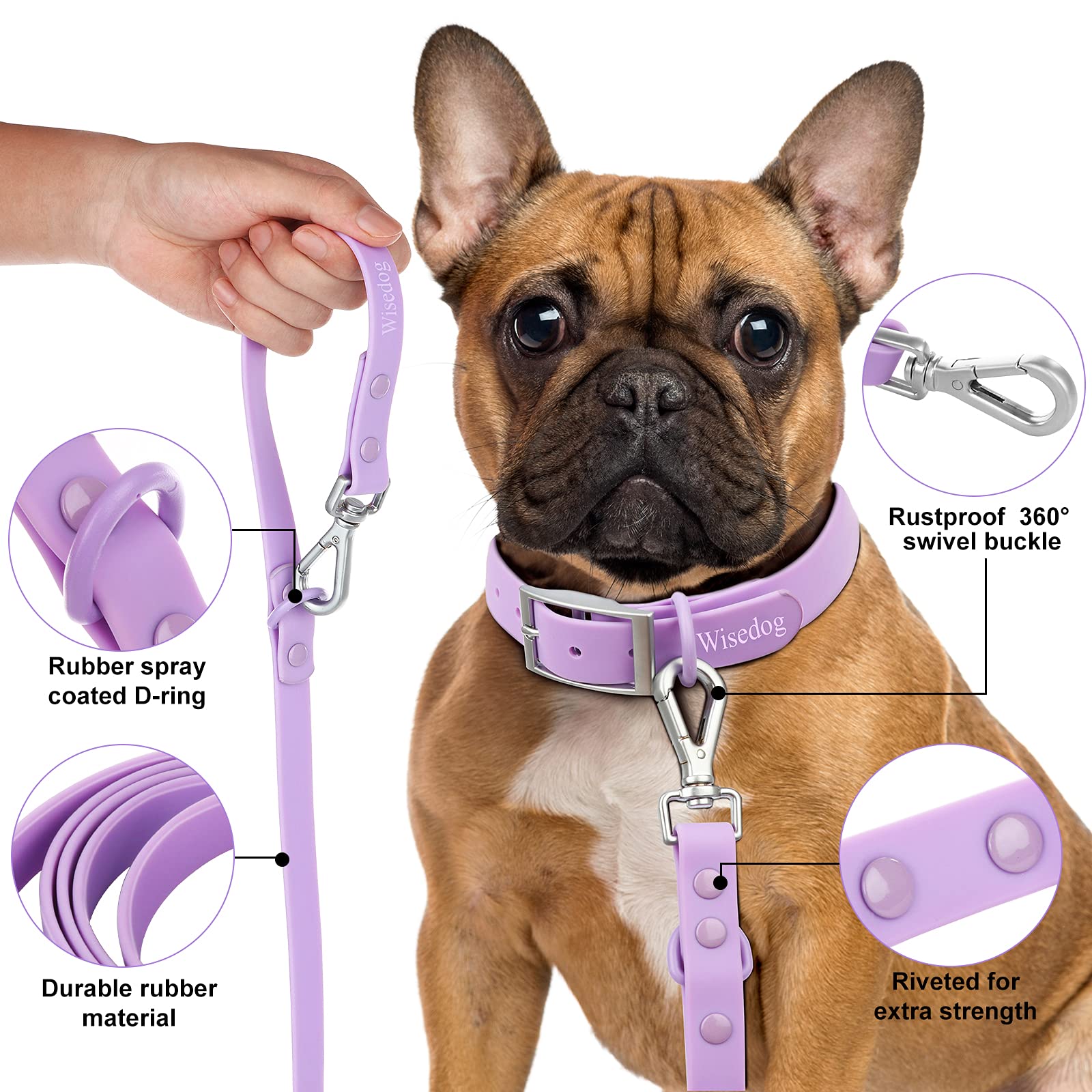 Waterproof Dog Leash: Standard Dog Leashes With 2 Hooks For Walking, Adjustable Lengths For Traffic Control Safety, Durable And Odor Proof, For Medium Large Dogs (Lilac,L)