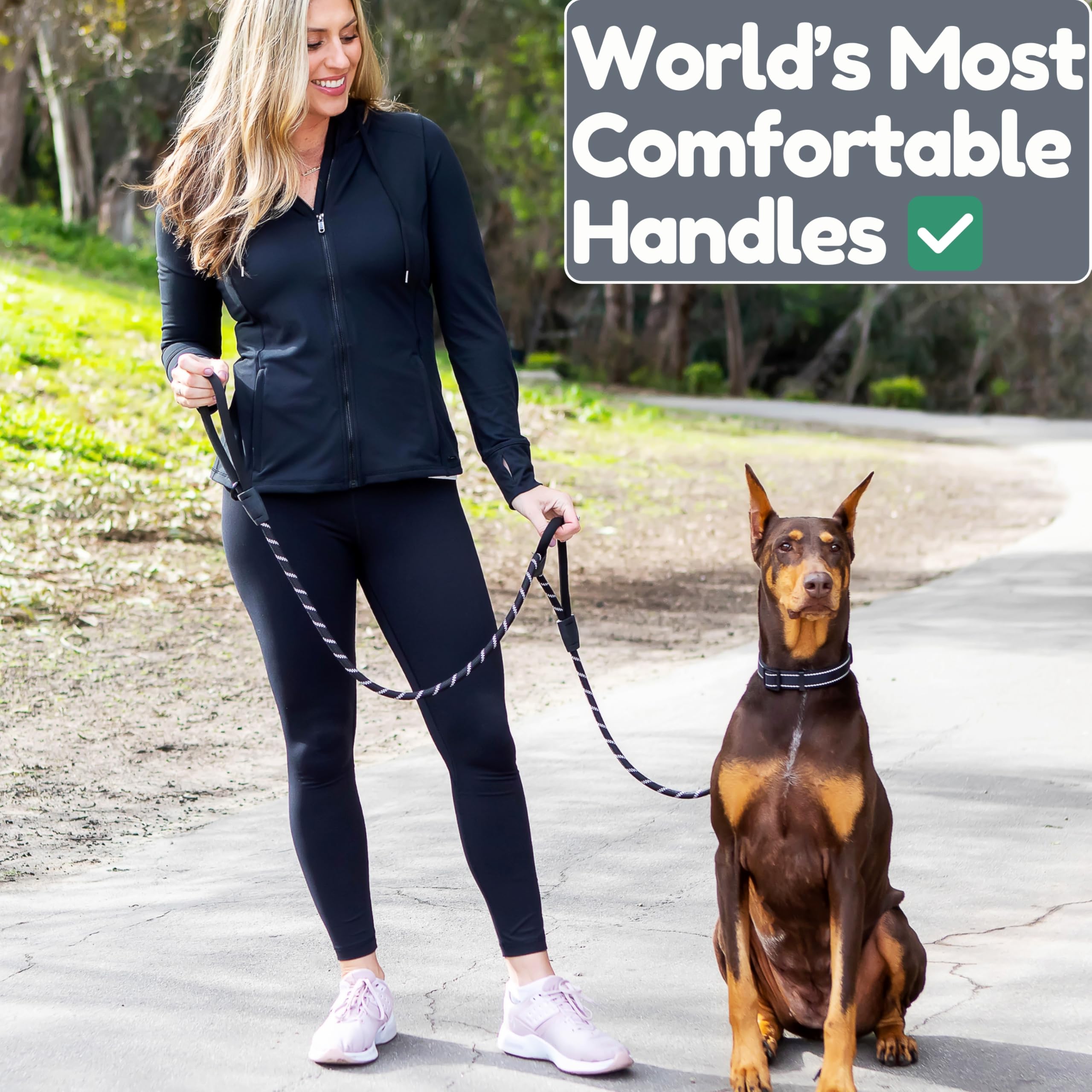 6 Foot Dog Leash, Two Extra Padded Handles, Heavy Duty Dog Leash For Medium To Large Pets, Highly Reflective, Shock-Absorbing No Pull Rope Lead, Durable For Walking, Running, Training Lead - Roam Gear