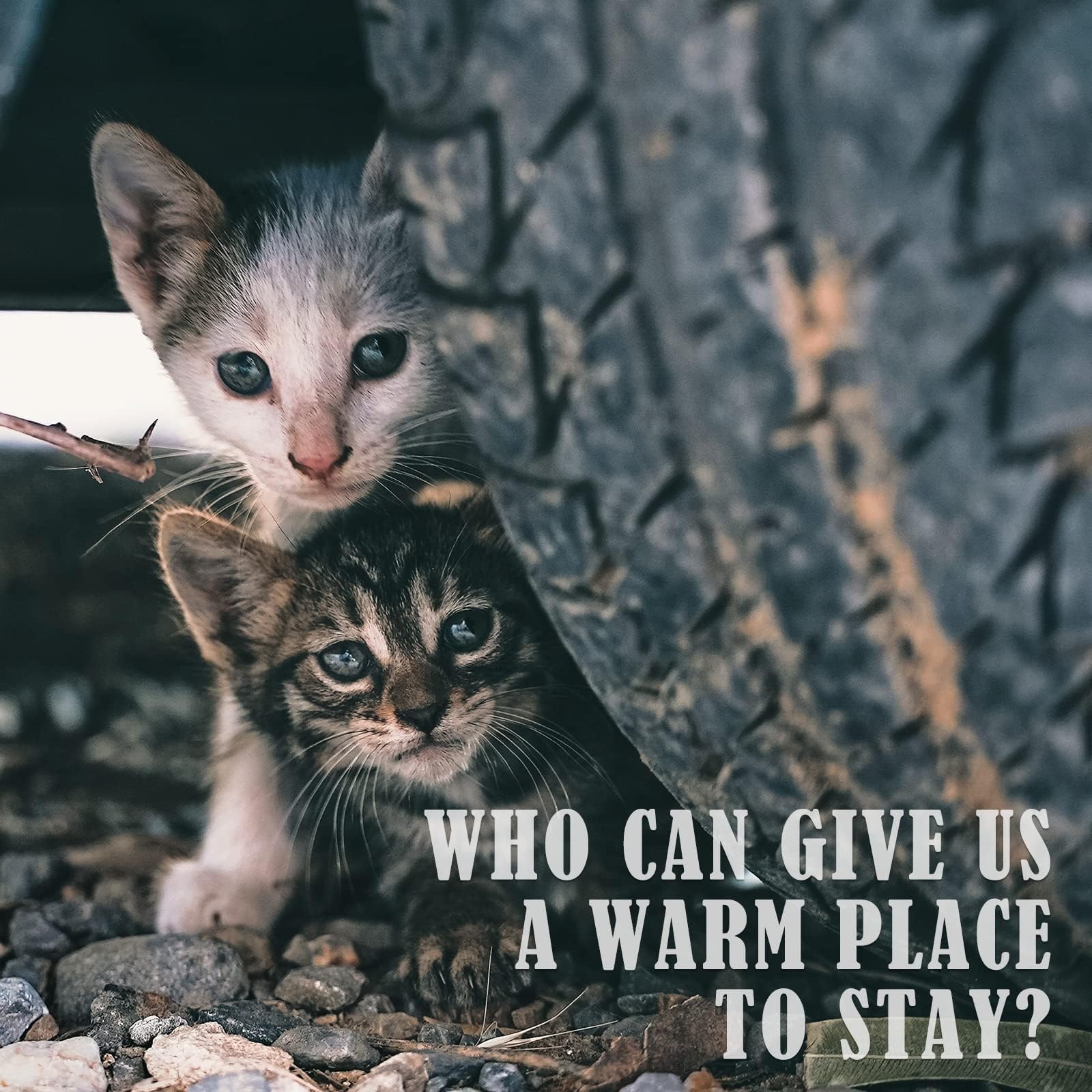 Petnf Outdoor Pet Heating Pad For Cats Outside, Cat Heating Pad Outdoor Winter Waterproof, Heated Cat Bed Safe Electric Cat Warm