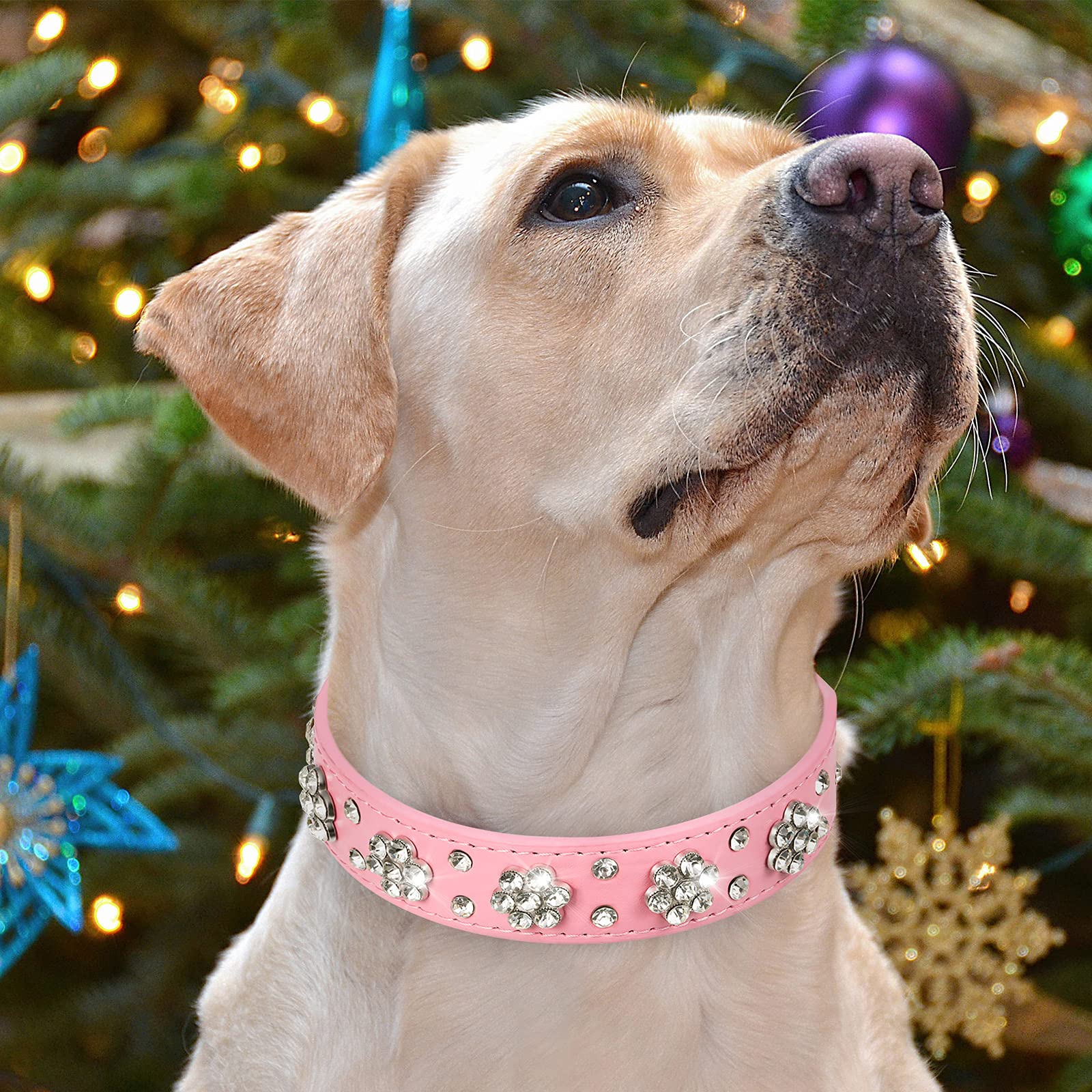 2 Pieces Pu Leather Dog Collar Pink Rhinestone Pet Collar Flower Pattern Studded Dog Collar Adjustable Bling Puppy Collar Pu Leather Crystal Pet Collars For Dogs (M 12-15 Inch)