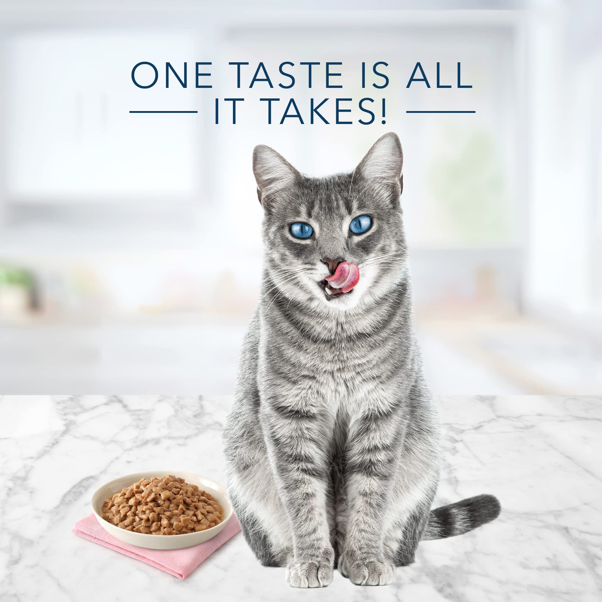 Blue Buffalo Tastefuls Natural Tender Morsels Wet Cat Food, Chicken Entr  e 5.5-oz cans (Pack of 24)