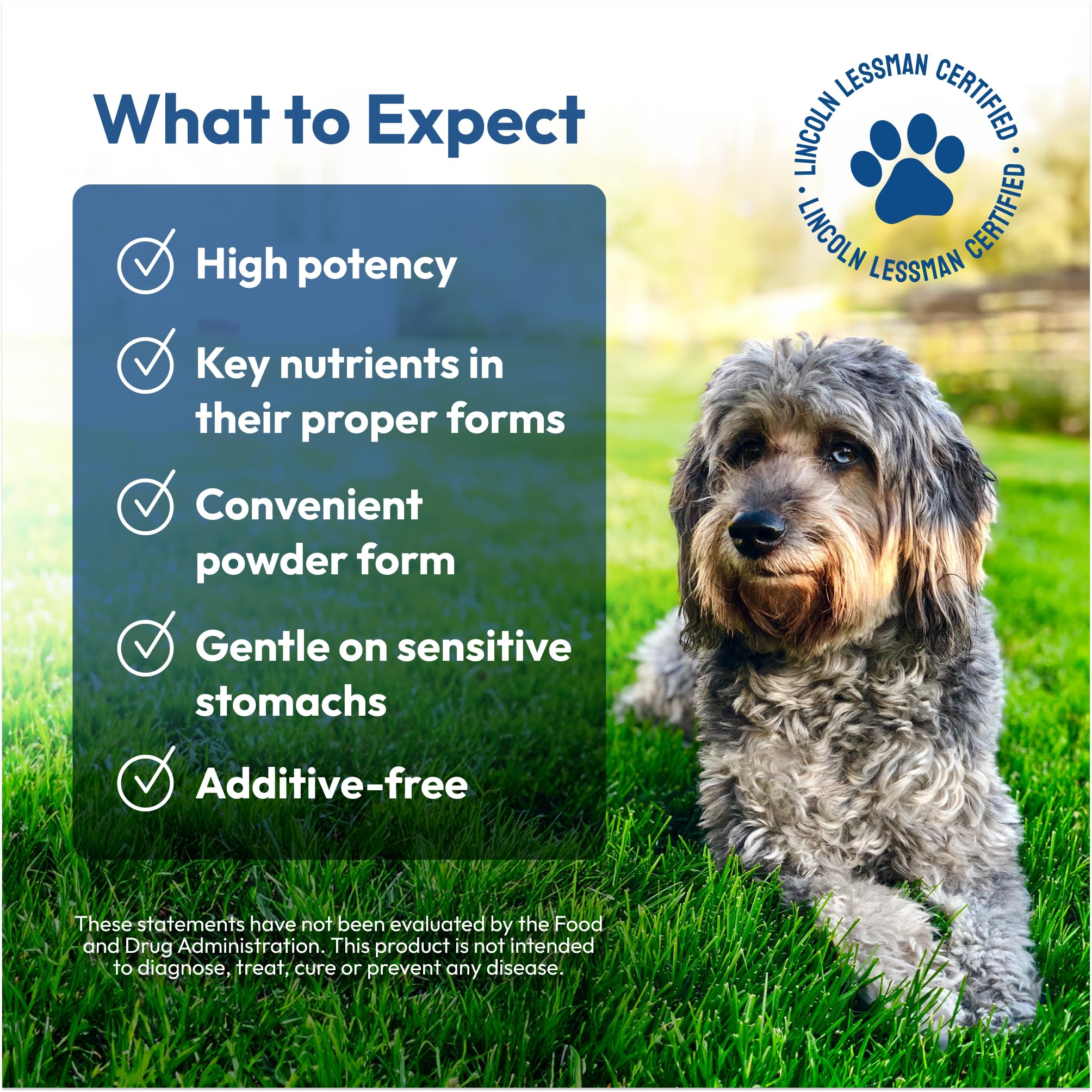 ANDREW LESSMAN Lincolns Own Joint Benefits + UC-II for Dogs. 60 Servings. Advanced Glucosamine, Chondroitin, Free-Range and UC-I