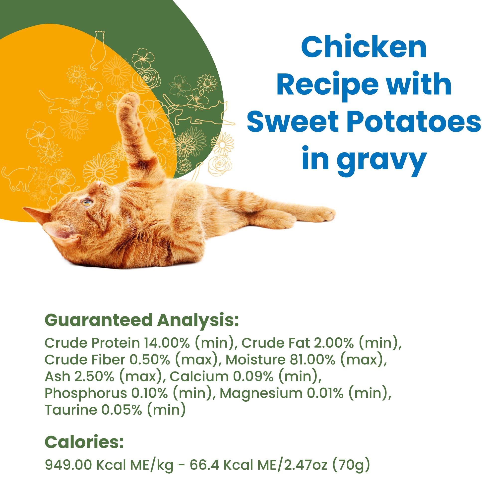 almo nature HQS Complete CAT Wet Cat Food Chicken Recipe with Sweet Potatoes in Gravy - Grain-Free Cat Food Canned, 2.47 oz (Pac