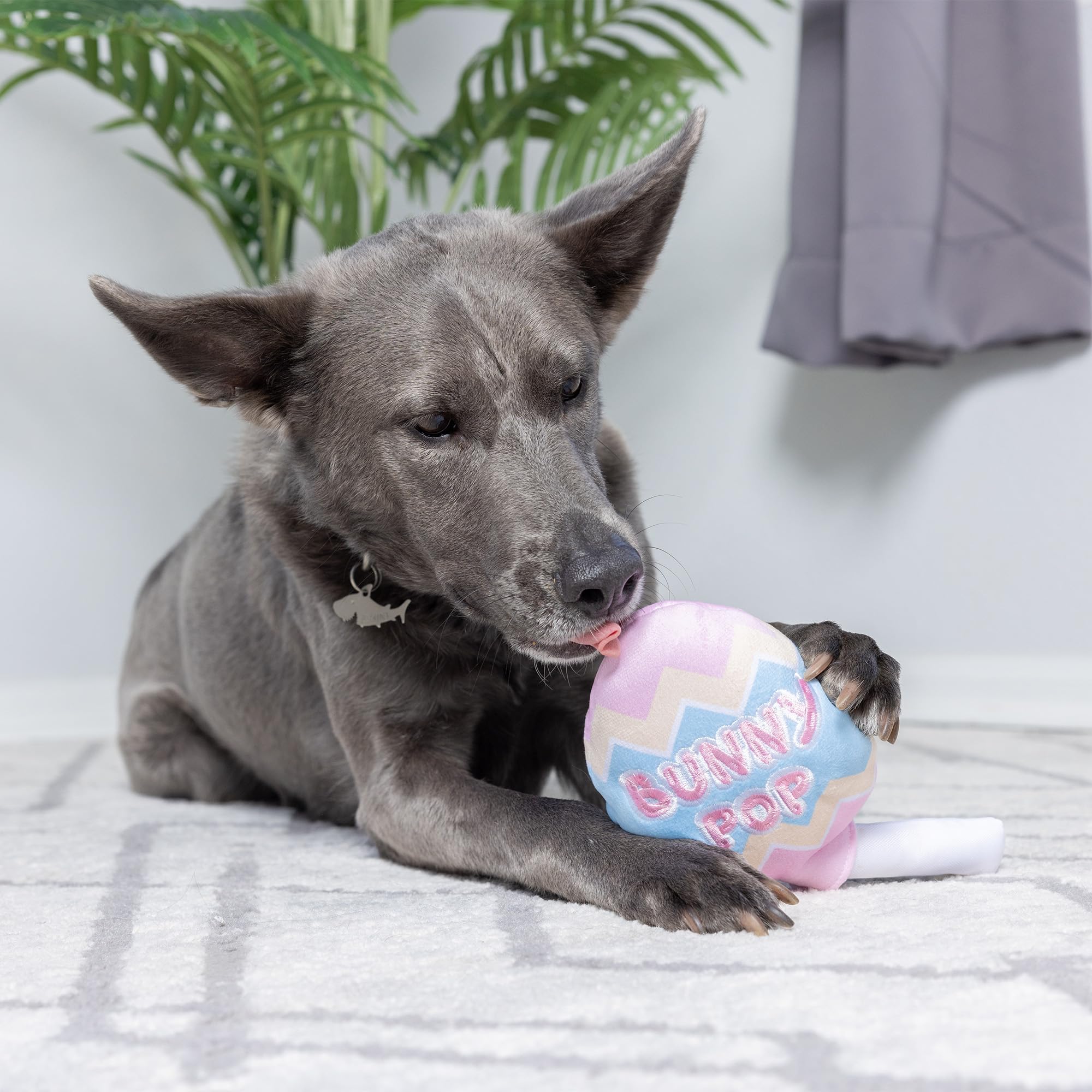 Huxley & Kent For Dogs - Bunny Pop (Small) - Easter/Spring Funny Dog Toy - Power Plush Funny Dog Toy With Squeaker - Fun, Durabl