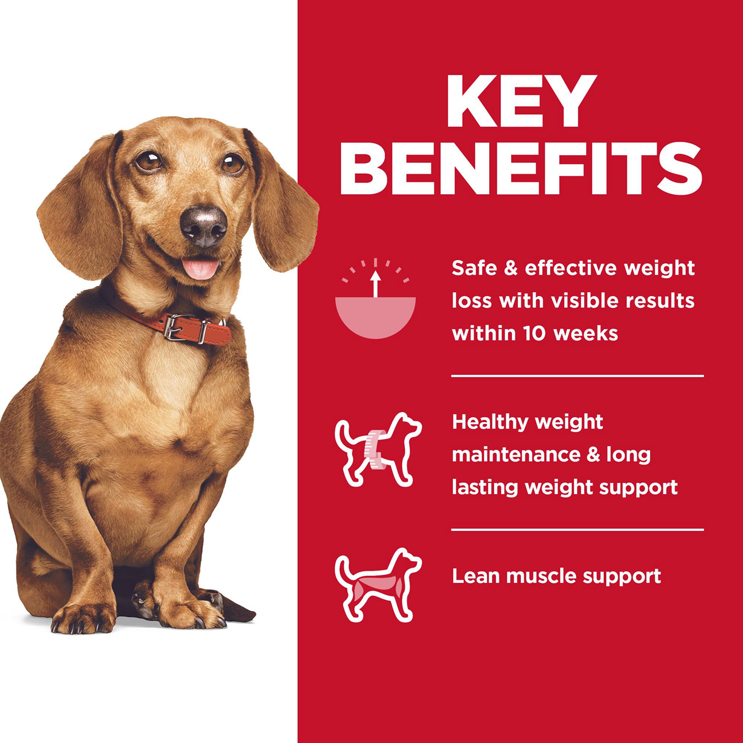 Hills Science Diet Perfect Weight, Adult 1-6, Small & Mini Breeds Weight Management Support, Dry Dog Food, Chicken Recipe, 12.5