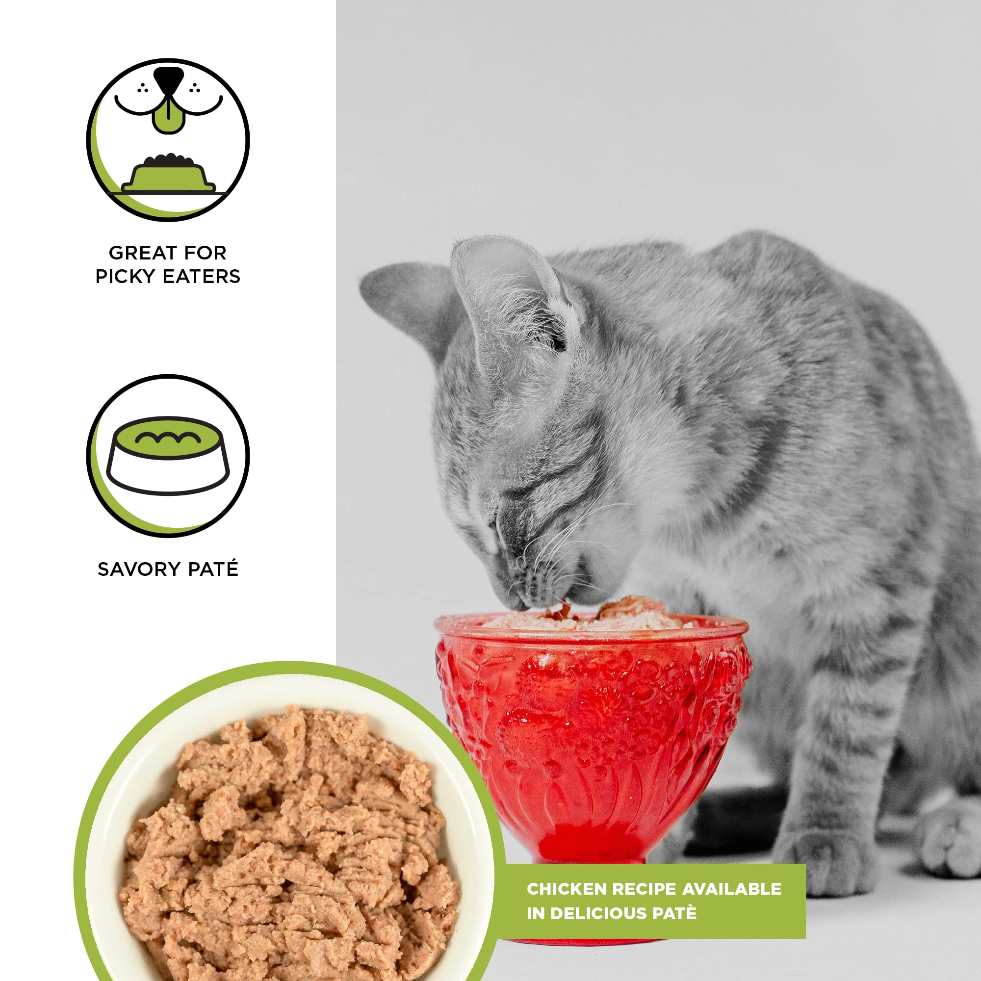 BIXBI Rawbble Chicken Pate Recipe for Kittens Cans - Grain Free, Protein Rich Wet Kitten Food-(2.75 Ounce Cans, Case of 24)