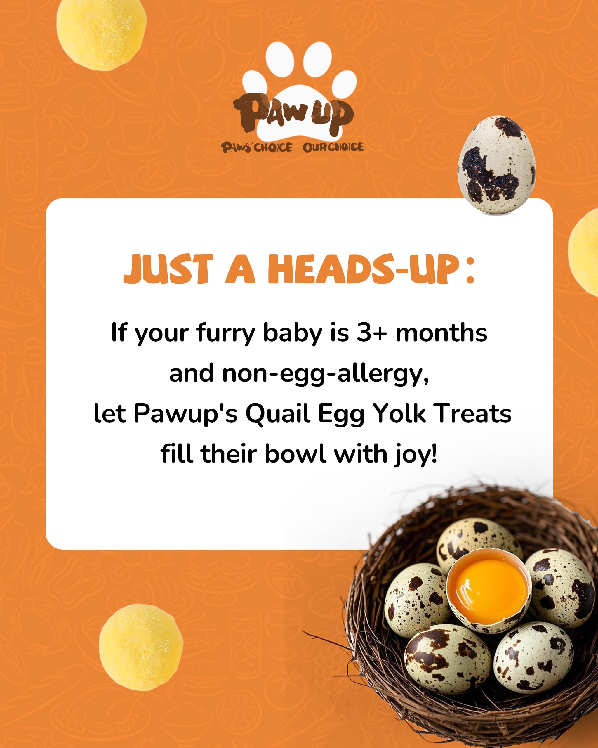 PAWUP Freeze Dried Quail Egg Yolk Pet Treats, Freeze-Dried Pet Food for Dogs, Cats, Pure Fresh Ingredient, 4.2 oz, Rawhide Free,