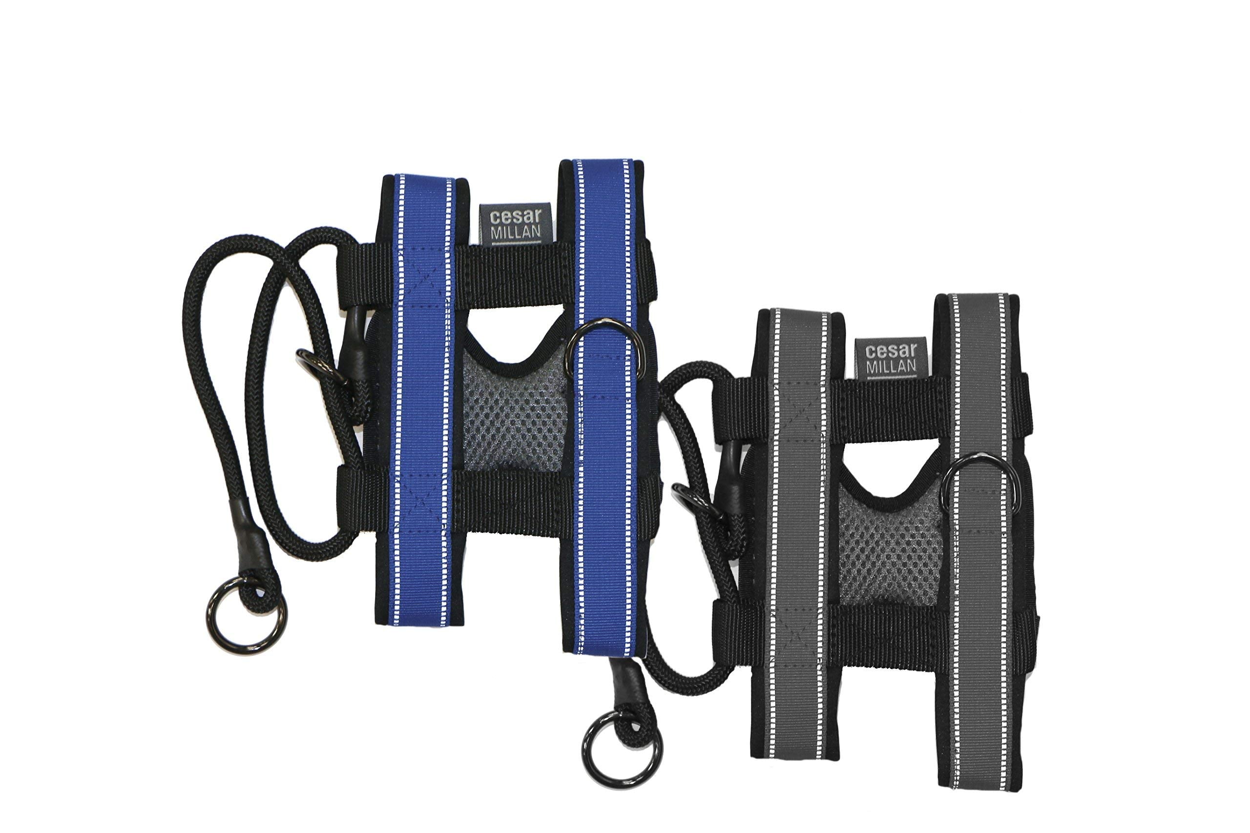 Cesar Millan Pack Leader Collar - Training Collar Of The Dog Whisperer (Small, Grey)