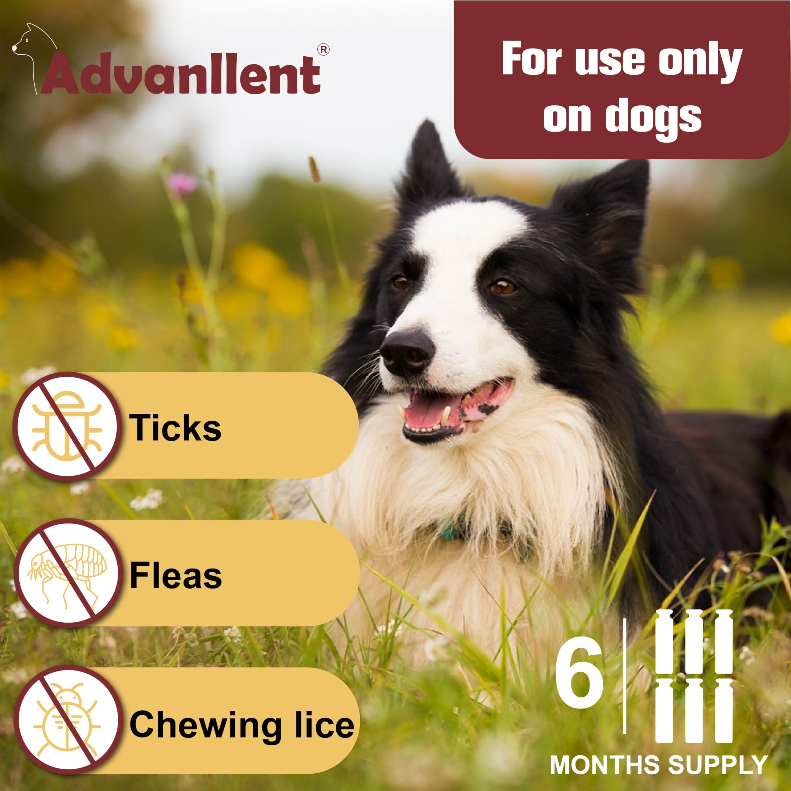Advanllent Flea and Tick Prevention for Dogs, Flea and Tick Treatment for Extra Large Dog, Flea & Tick Control, 89-132 Pounds, 6