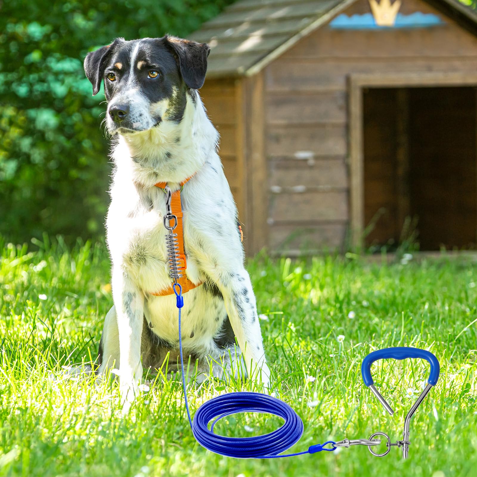 Dog Tie Out Cable And Stake,50Ft Outside Dog Run Cable Leash&Chain With Shock Spring For Camping And Yard, 16'' Heavy Duty Anti