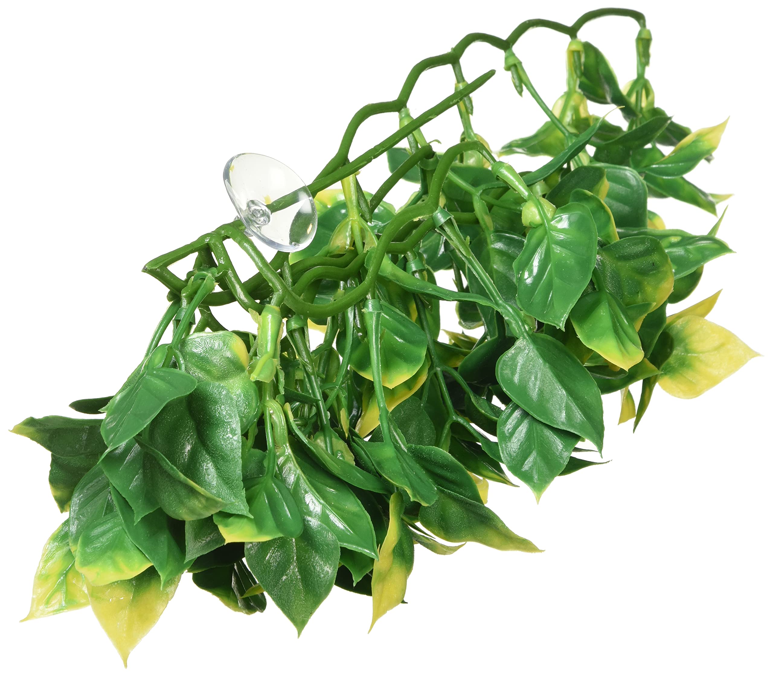 Exo Terra Plastic Terrarium Plant, Medium, Amapallo