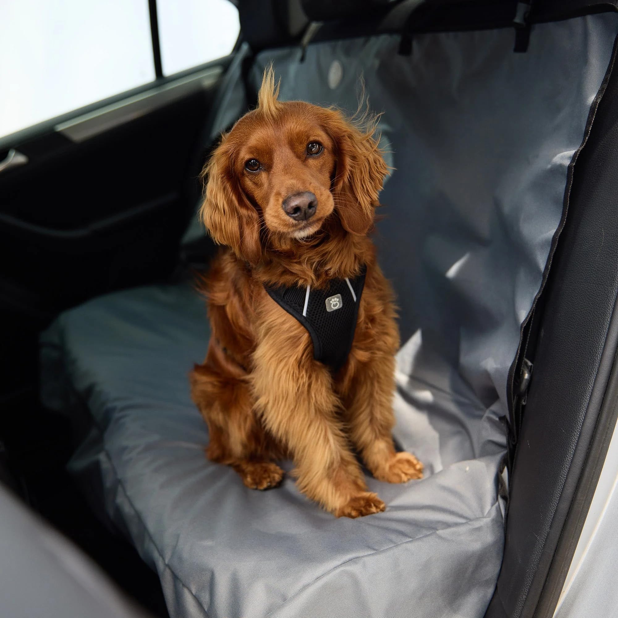 Gf Pet Travel Harness - Black - L