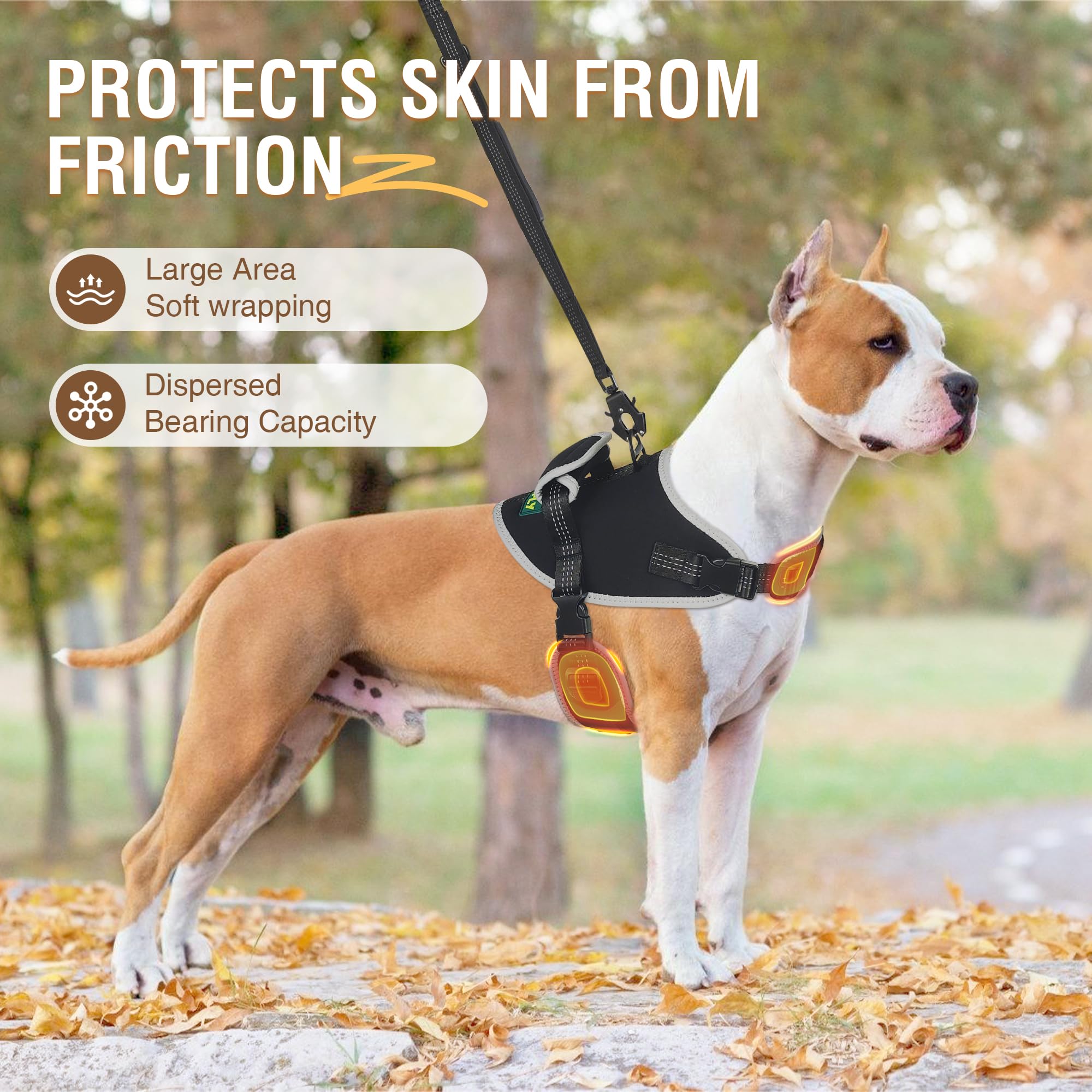 Dog Harness, No Pull Dog Harness With Reflective, No Choke Pet Vest, Adjustable Soft Padded Dog Vest, Dog Walking And Training H