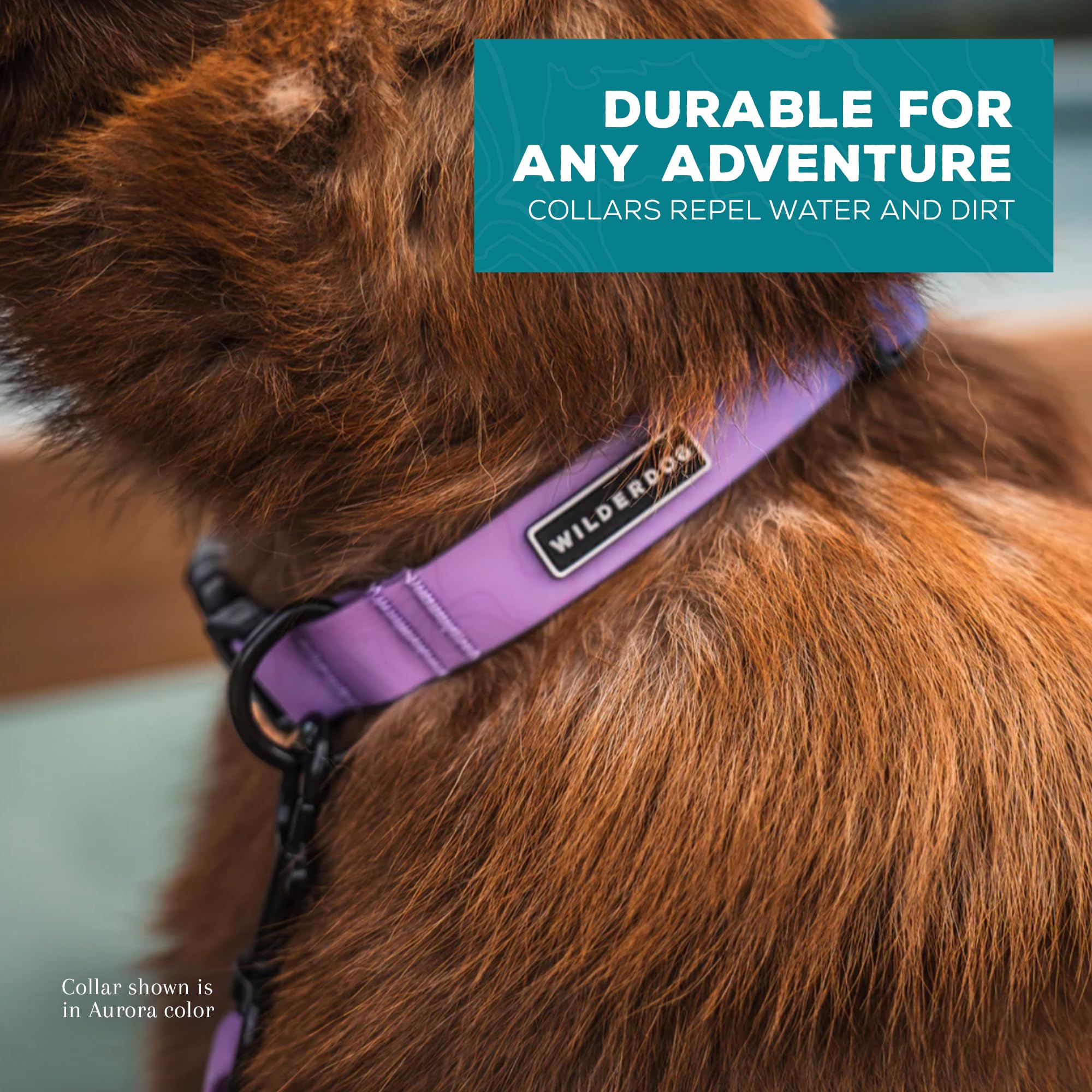 Wilderdog Waterproof Dog Collar - Repels Water & Dirt - Medium 13''-18'' - Aurora