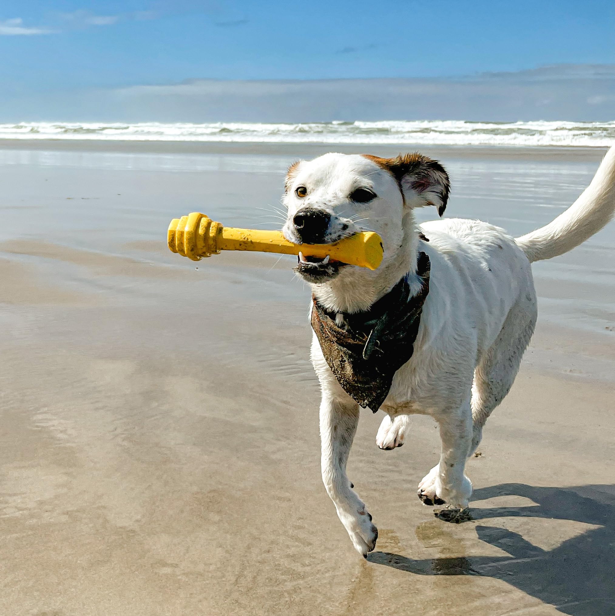 Project Hive Pet Company - Hive Dog Fetch Stick For Large Breeds - Dog Stick Toy - Floats In Water - Treat Dispenser Toy - Durab