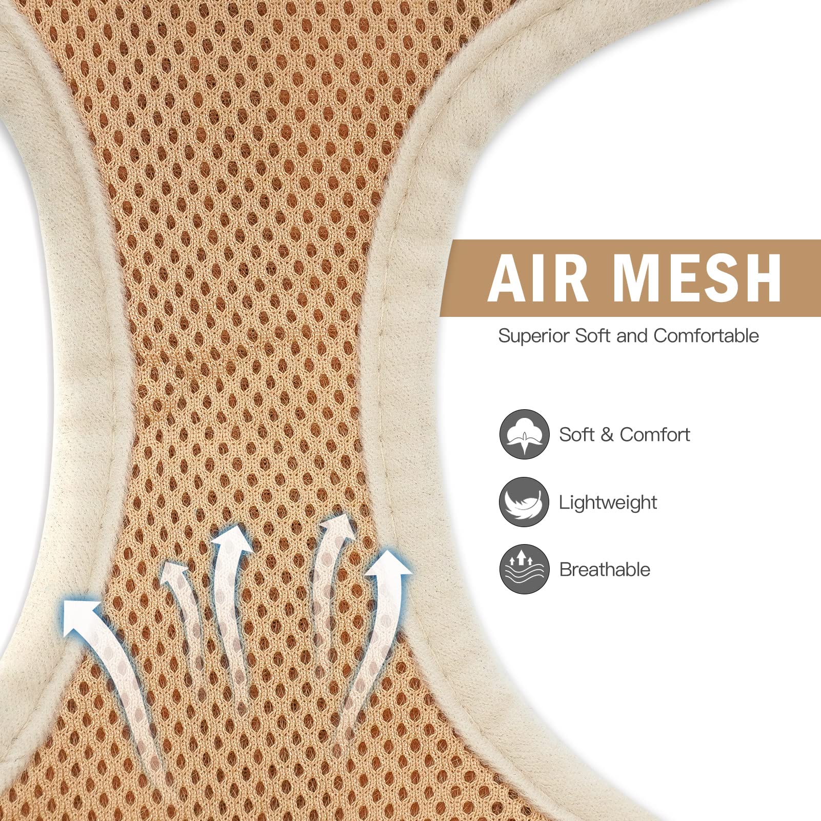 Pupteck Adjustable Pet Harness Collar And Leash Set Step In For Small Dogs Puppy And Cats Outdoor Training And Running, Soft Mesh Padded Reflective Vest Harness