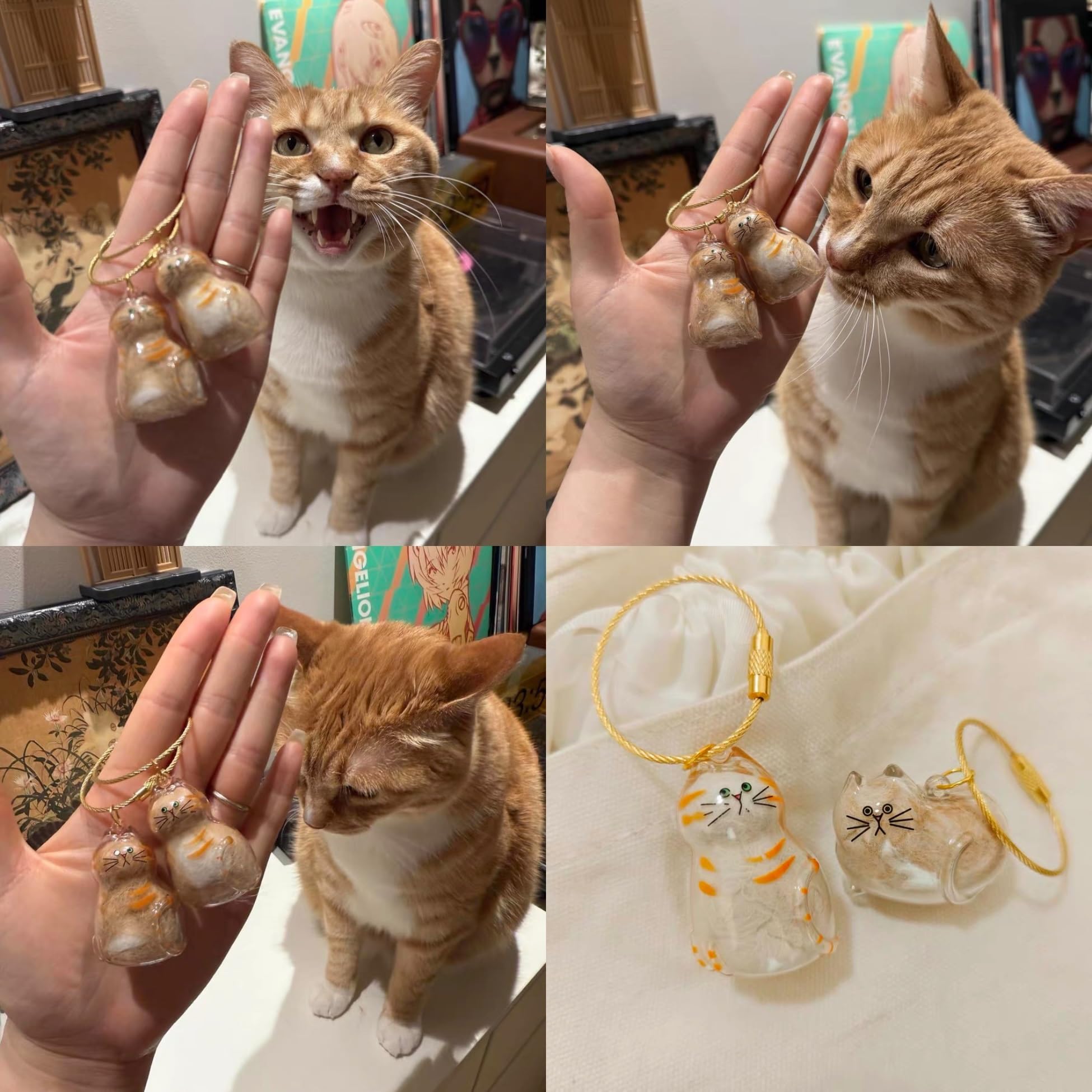 6Pcs Fur-Ever Loved Cat Hair Memorial Pendant, Cat Fur Keepsake Capsule Pendant, Cat Fur Keepsake Keychain, Pet Hair Storage Bot