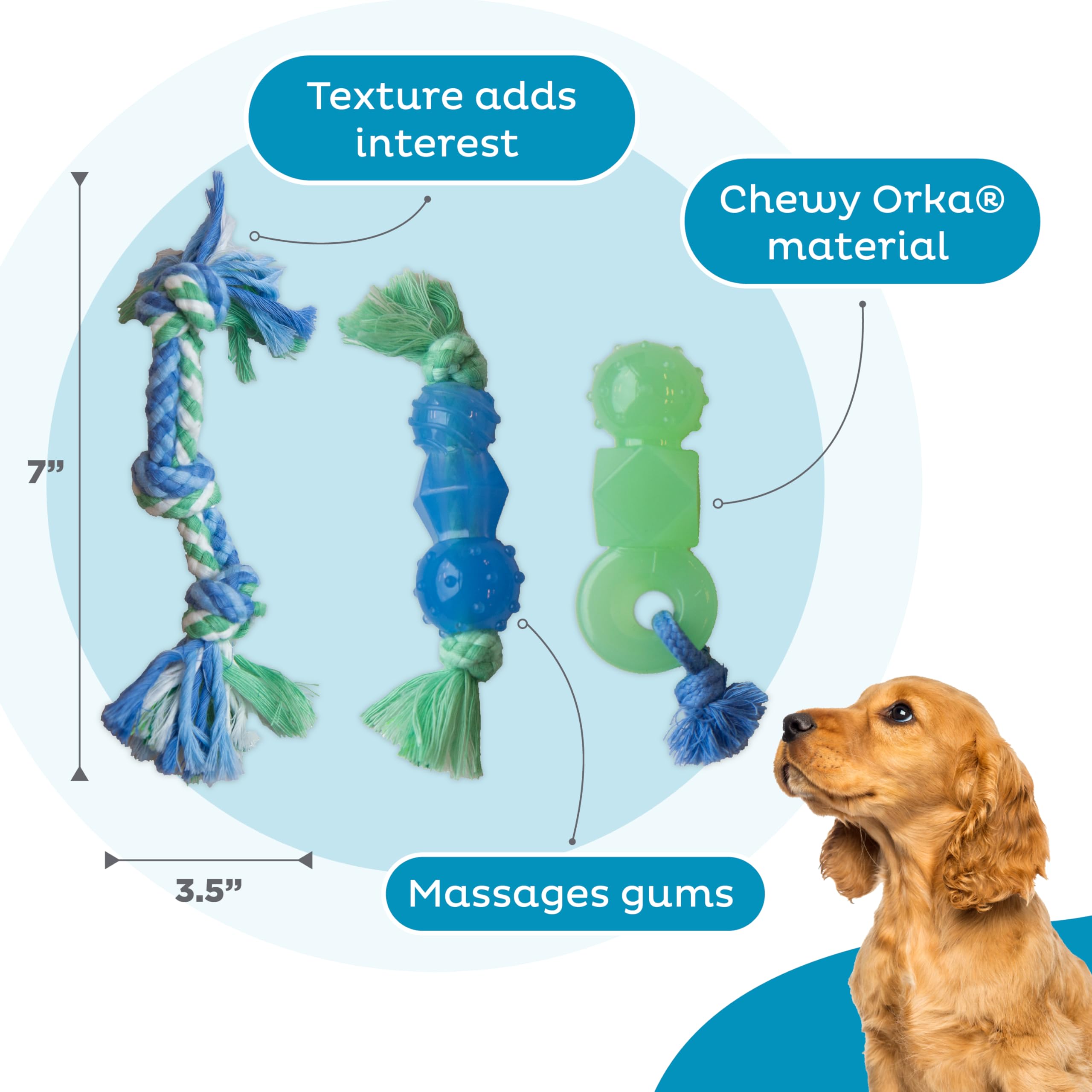 Outward Hound Mini Dentachew Dental Dog Chew Toy - 3 Pack - Great Size For Small Dogs And Puppies
