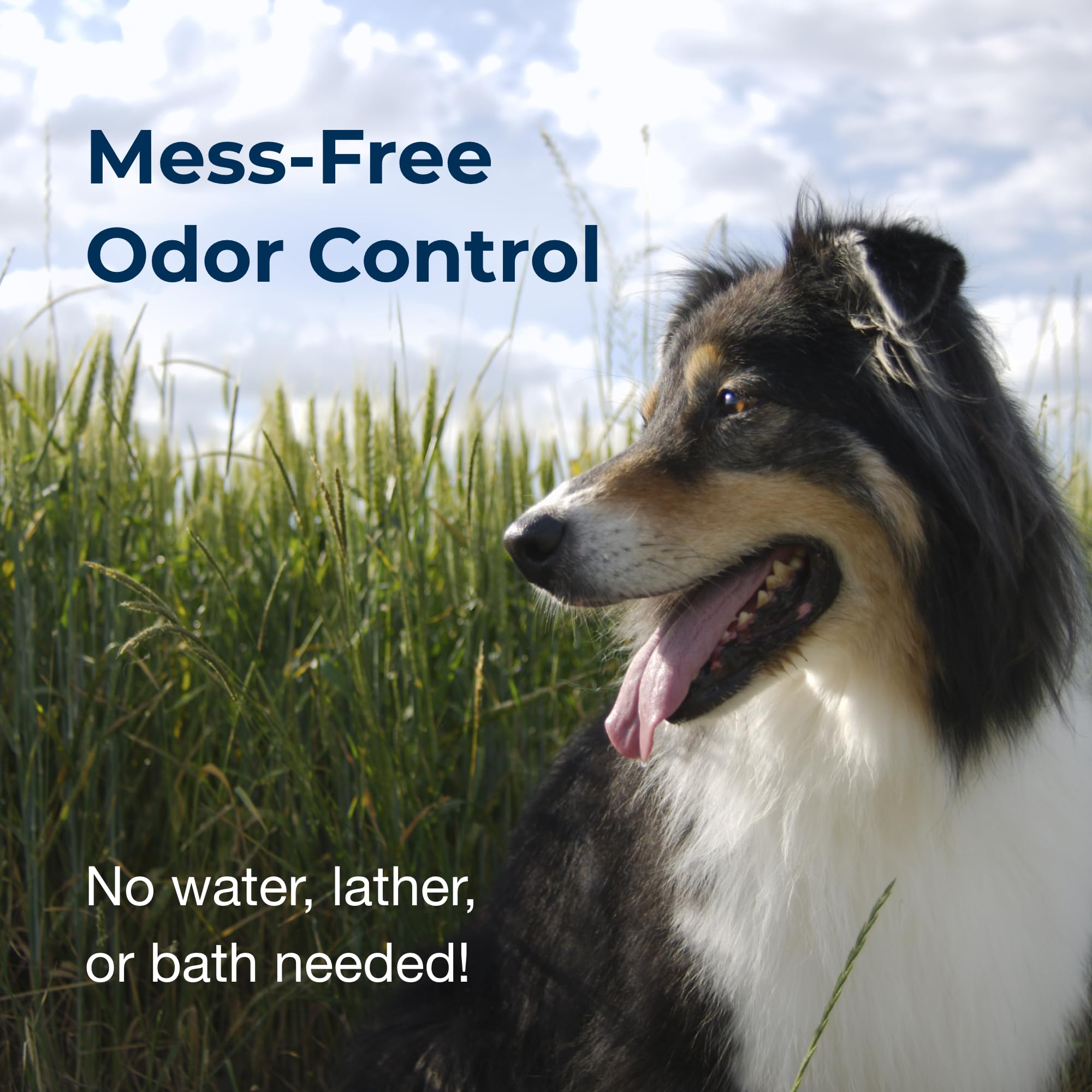 PetAg Fresh n Clean Cologne Spray - Floral Scent - 12 oz - Controls Odor & Keeps Dogs Smelling Fresh