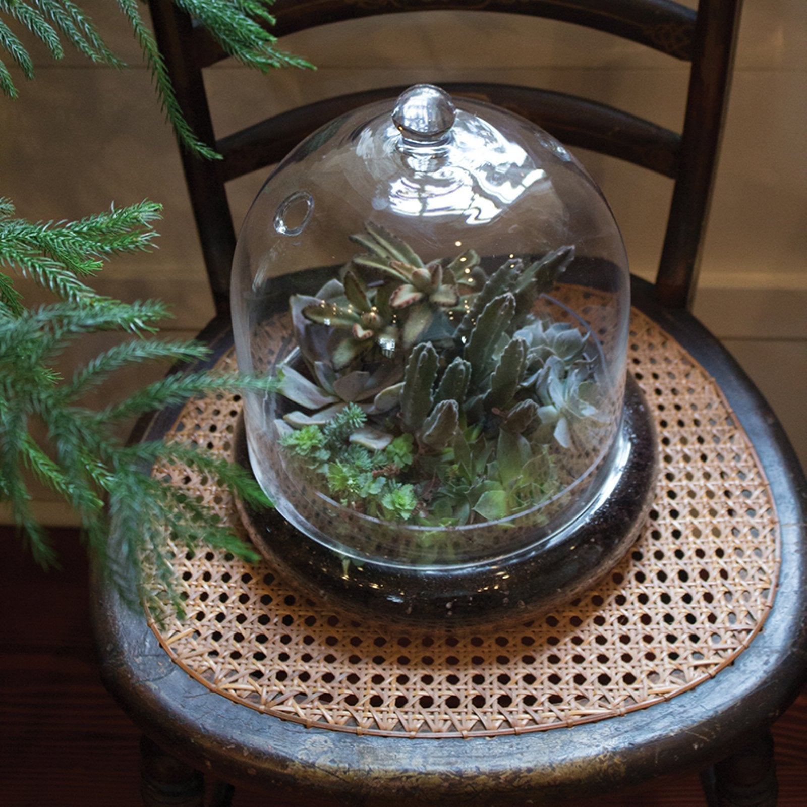 Syndicate Sales Inc 3776-04-09 7 X 8 Terrarium Cloche
