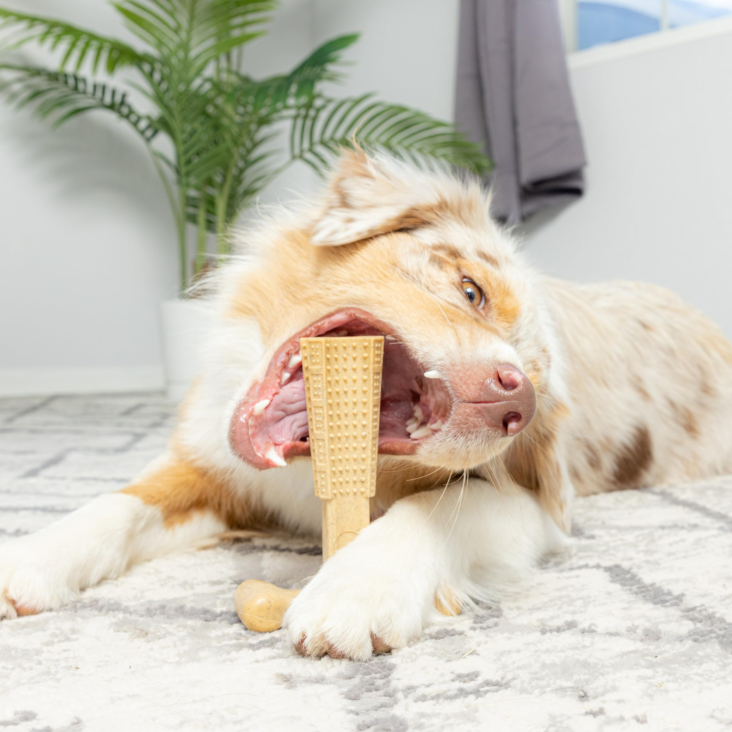 Spot Bambone Plus Chicken Dog Chew Toy Medium