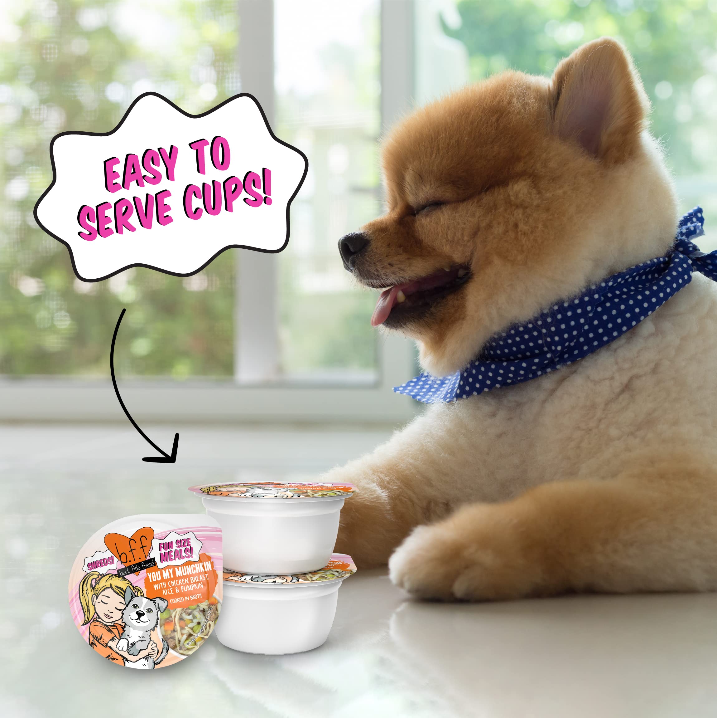 Weruva Best Fido Friend Fun Size Meals for Dogs, You My Munchkin, 2.75oz Cup, Pack of 12