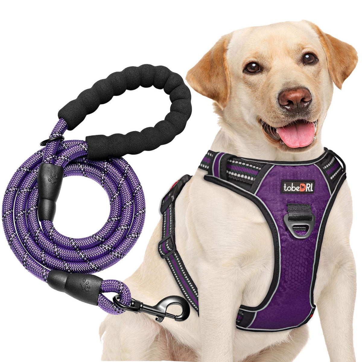 Tobedri No Pull Dog Harness Adjustable Reflective Oxford Easy Control Medium Large Harness With A Free Heavy Duty 5Ft Leash (L (