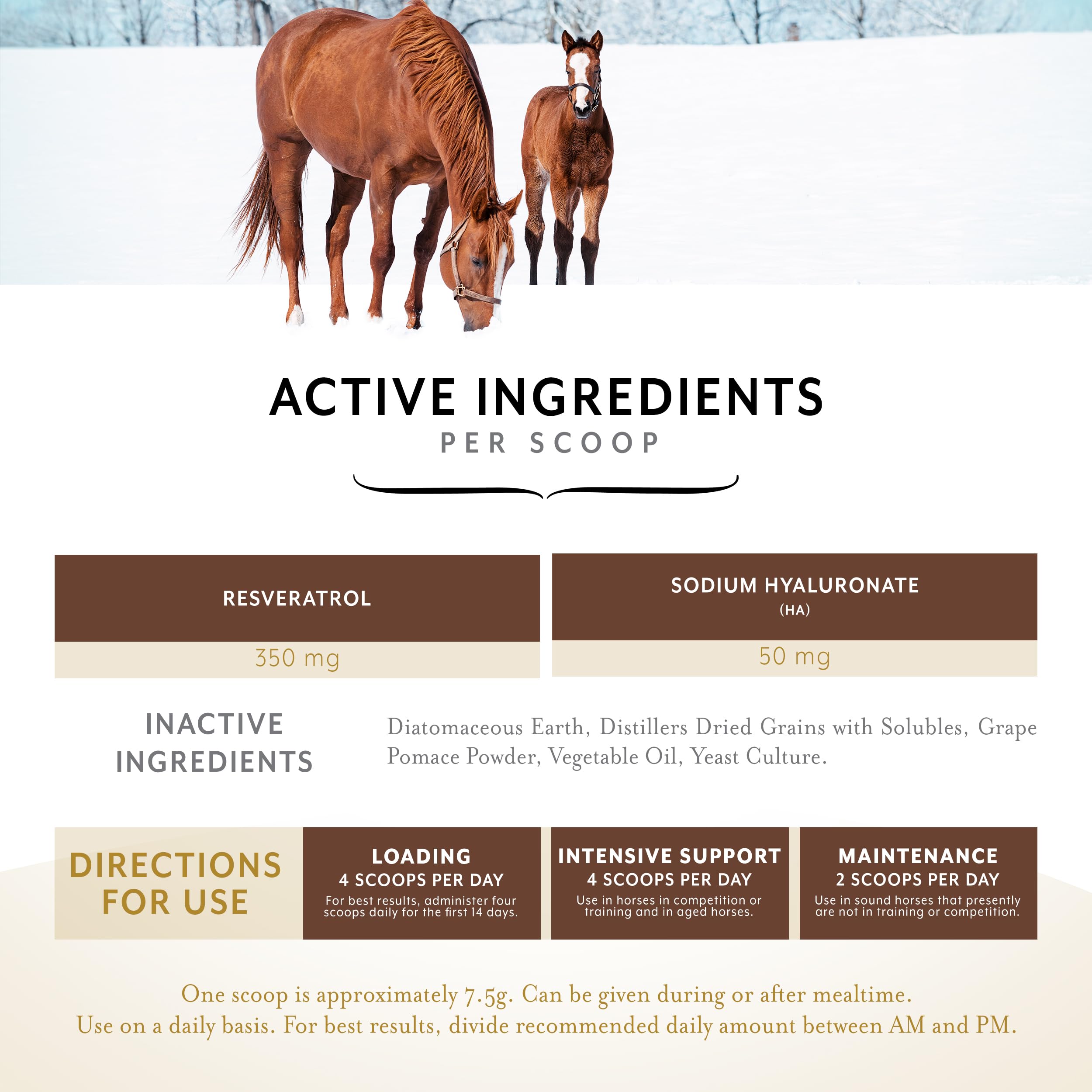 Equithrive Original Joint Supplement Powder with Resveratrol and Hyaluronic Acid for Horses, Equine Care, 2 lbs