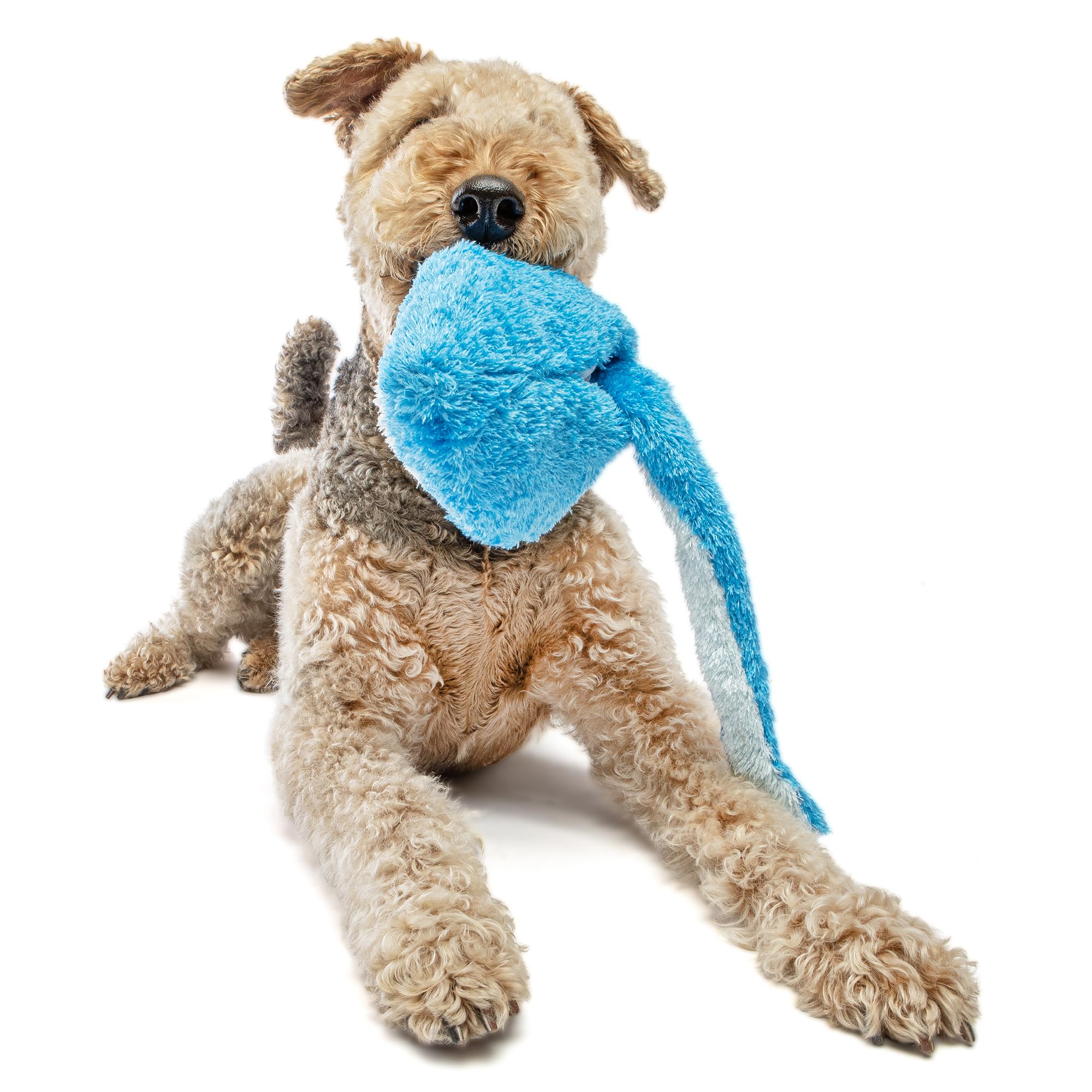 GURU Pet: Hide-A-Tail: Shark - Large - Blue Plush Dog Toy, Hides-Dispenses Treats, Squeaks & Crinkles, Soft Animal Character, Tu