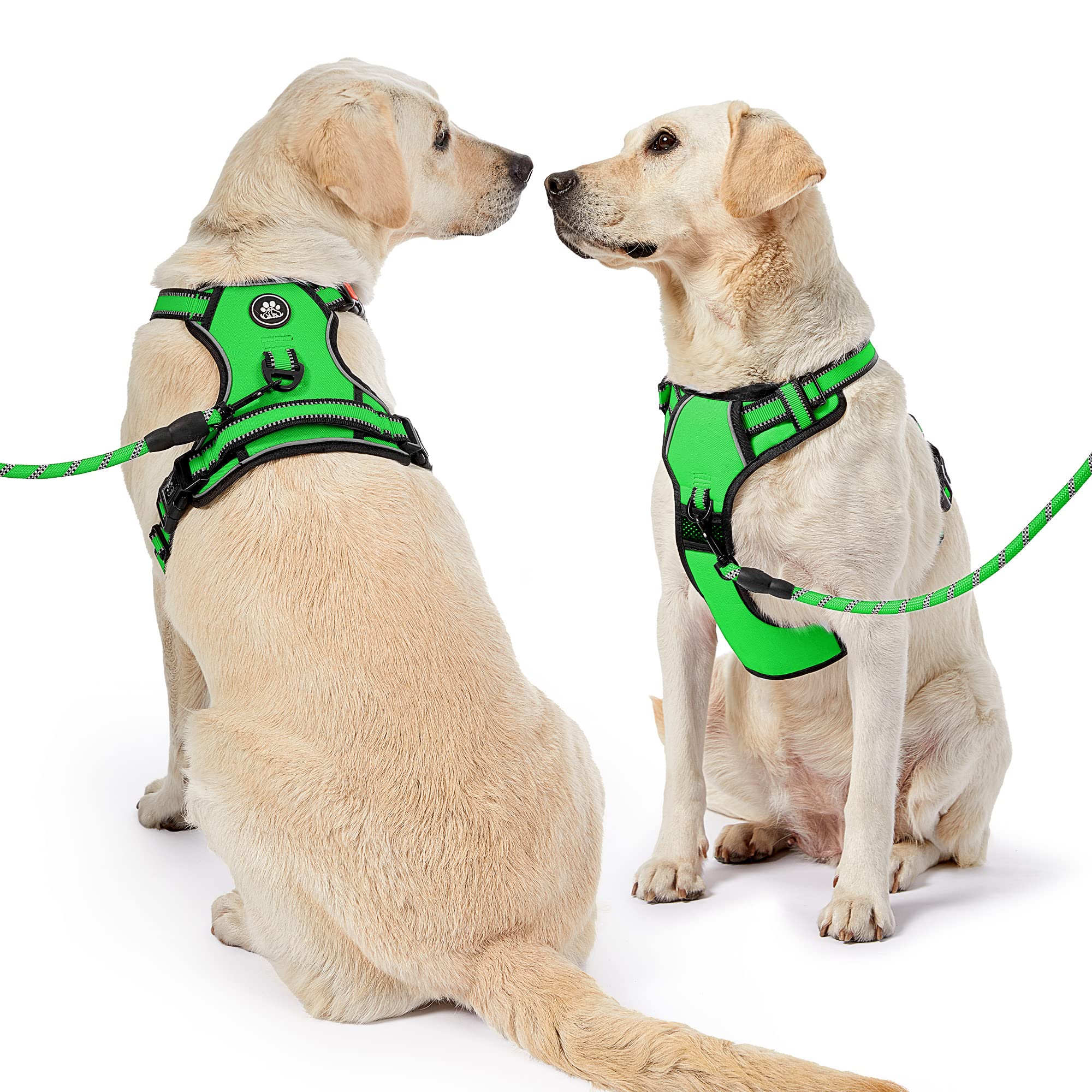 Nestroad No Pull Dog Harness,Adjustable Oxford Dog Vest Harness With Leash,Reflective No-Choke Pet Harness With Easy Control Soft Handle For Small Medium Dogs(Medium,Fluorescentgreen)
