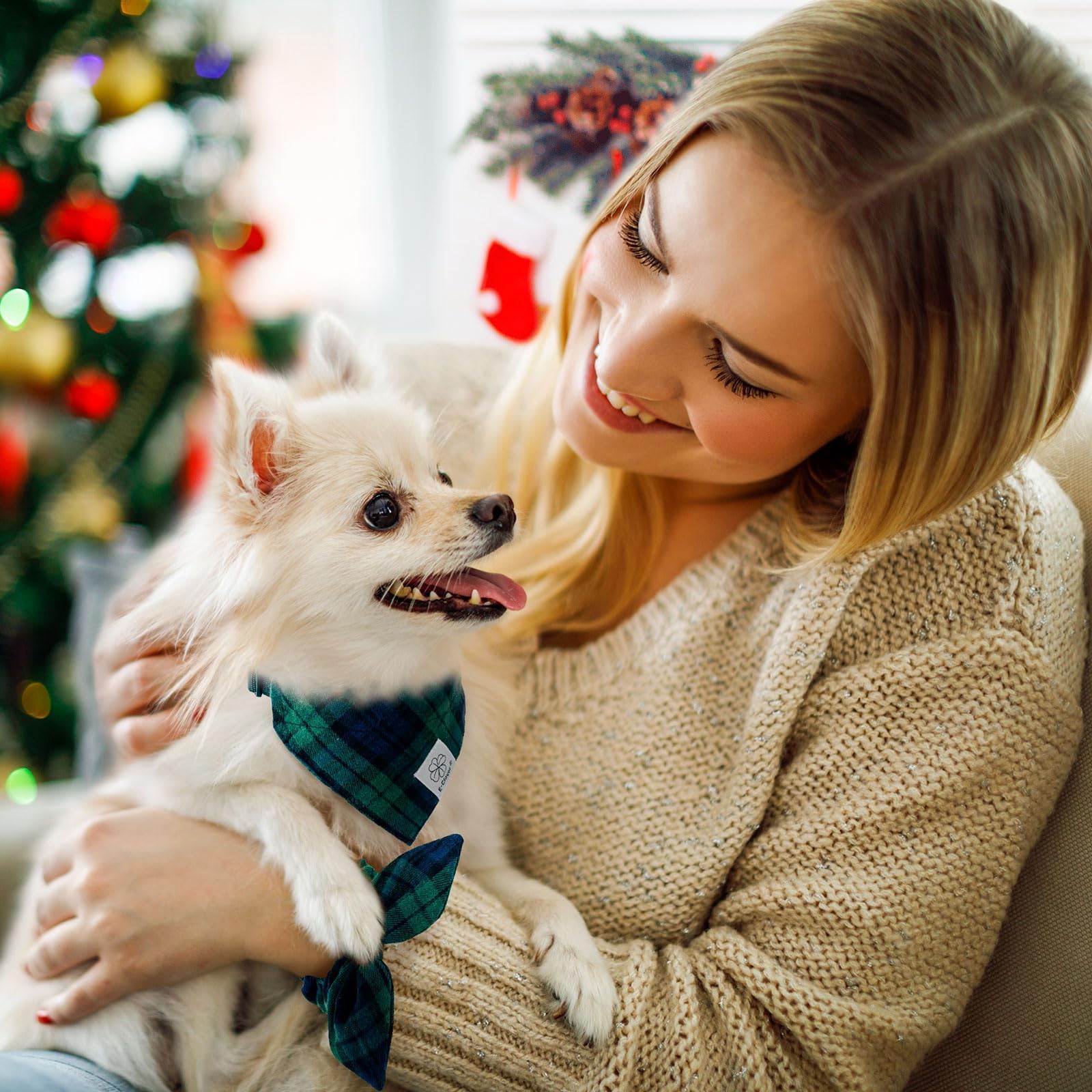 E-Clover Plaid Dog Collar & Matching Scrunchie - Adjustable Medium Dog Collar & Bandana For Small Medium Dogs - Green Blue