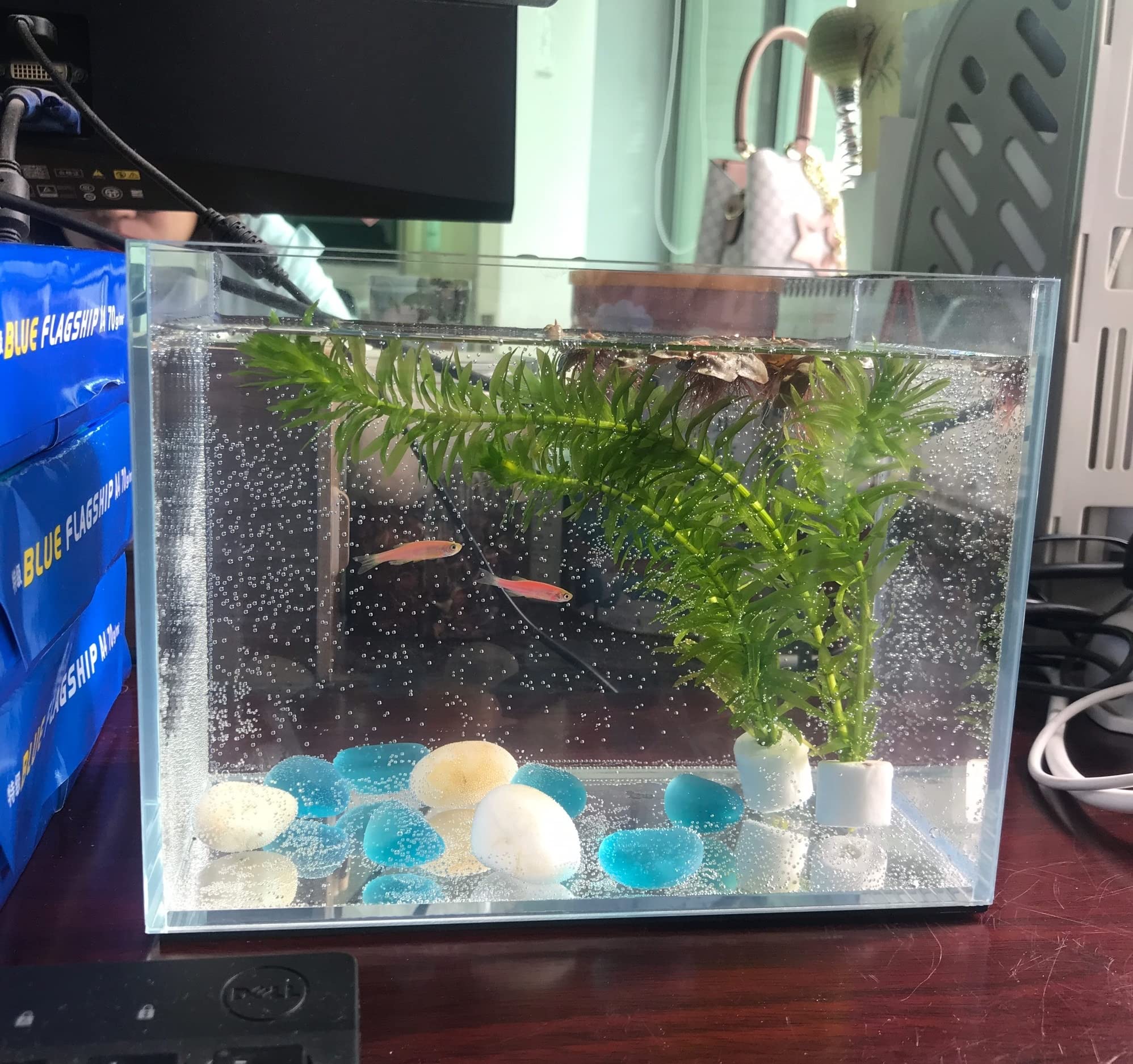 Awxzom Small Nano Rimless Tank, Clear Glass Fish Tank, 1.1 Gallon, 7.8X5.5X5.9Inch/20X14X15Cm, Betta Fish Tank