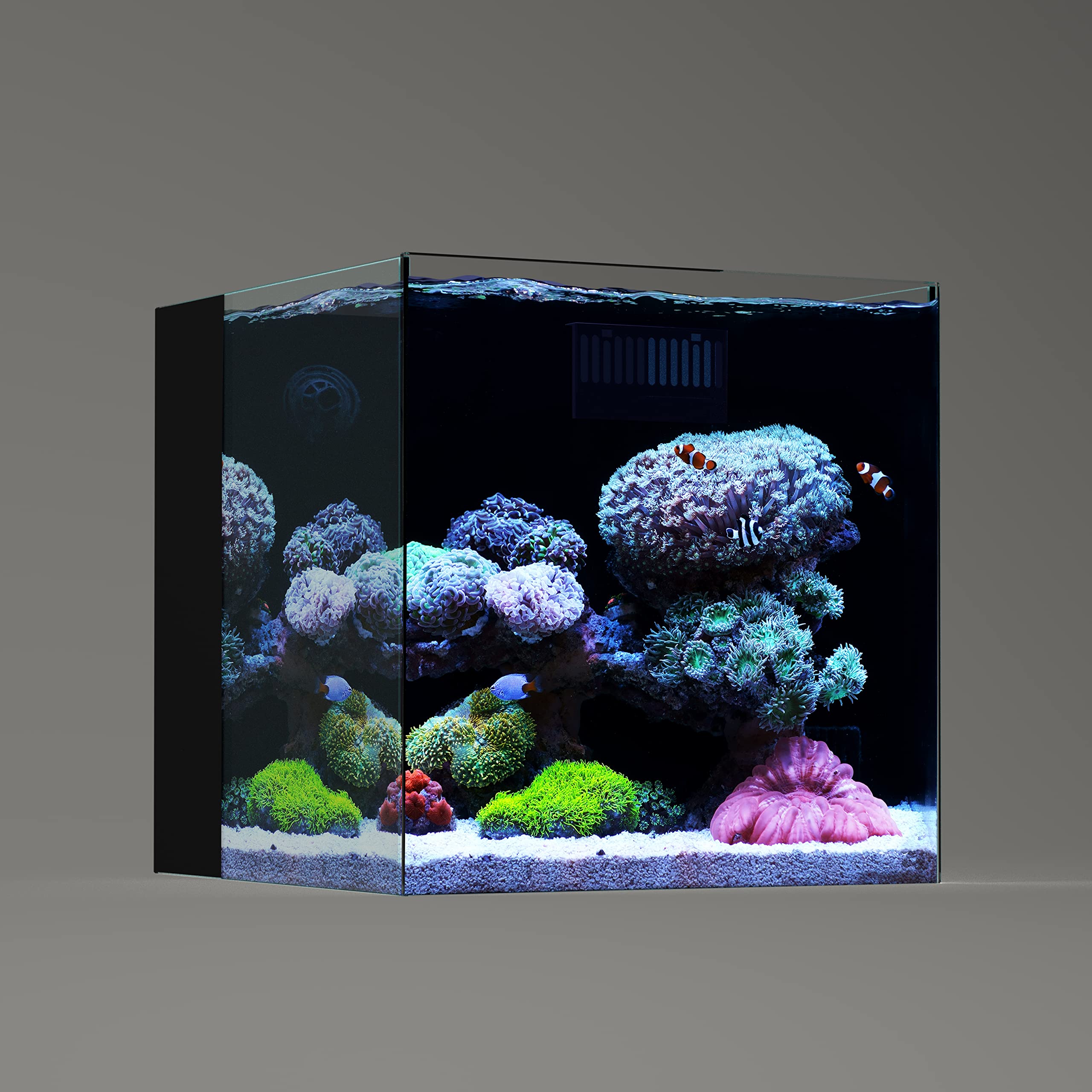 Landn 35C 10 Gallon Ultra Clear All Glass Rimless Low Iron Aquarium Tank With Rear Filtration Chamber(Return Pump Included).13.8