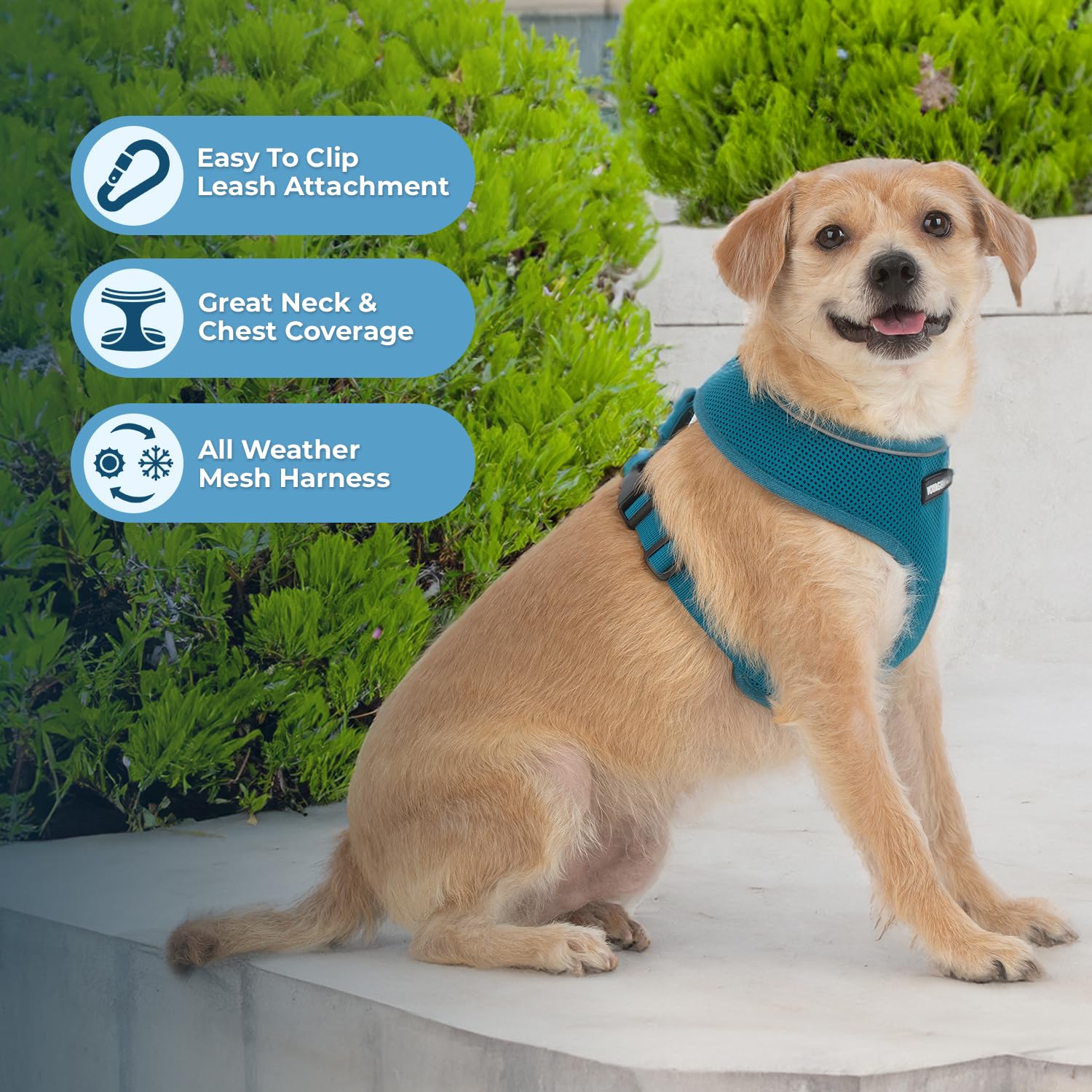 Voyager Aerolite No Pull Mesh Dog Harness With Lightweight, Soft, Breathable, Reflective Stitching, And Adjustable Straps For Walking, Running, Training, Heavy Duty And Durable - Turquoise, L