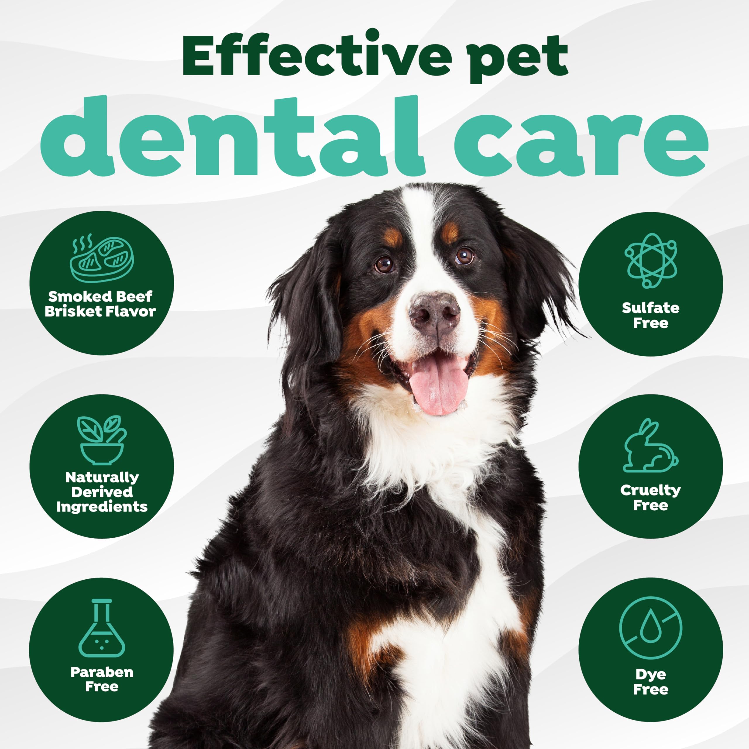 TropiClean Fresh Breath Oral Care Kit - Soft Bristle Finger Toothbrush - Dog Tooth Brushing Kit - Beef Brisket Flavor Dog Toothp
