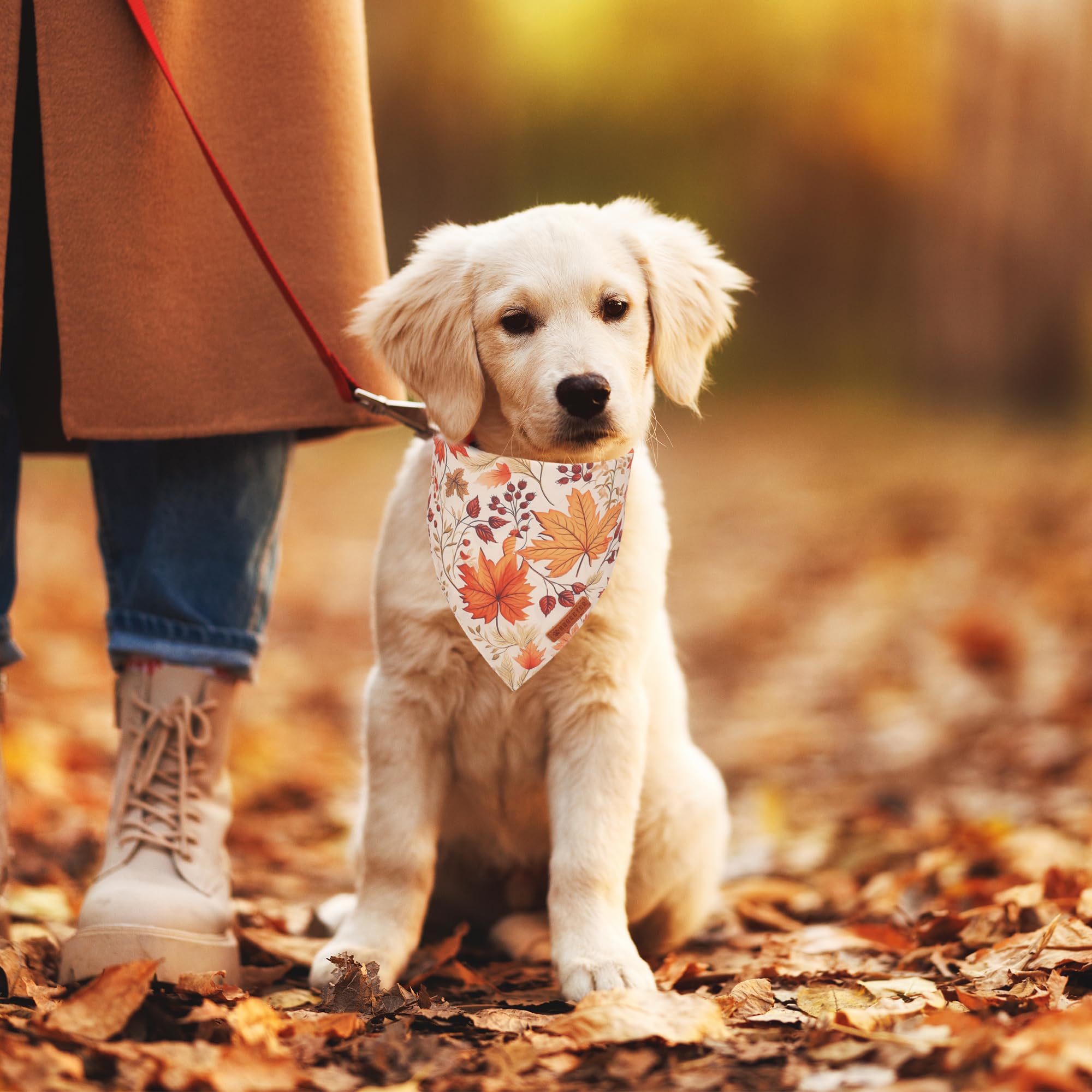 ADOGGYGO Fall Dog Bandana, Pumpkin Maple Leaf Autumn Thanksgiving Pet Scarf, Adjustable Fit Fall Bandanas for Small Dogs Pets (S