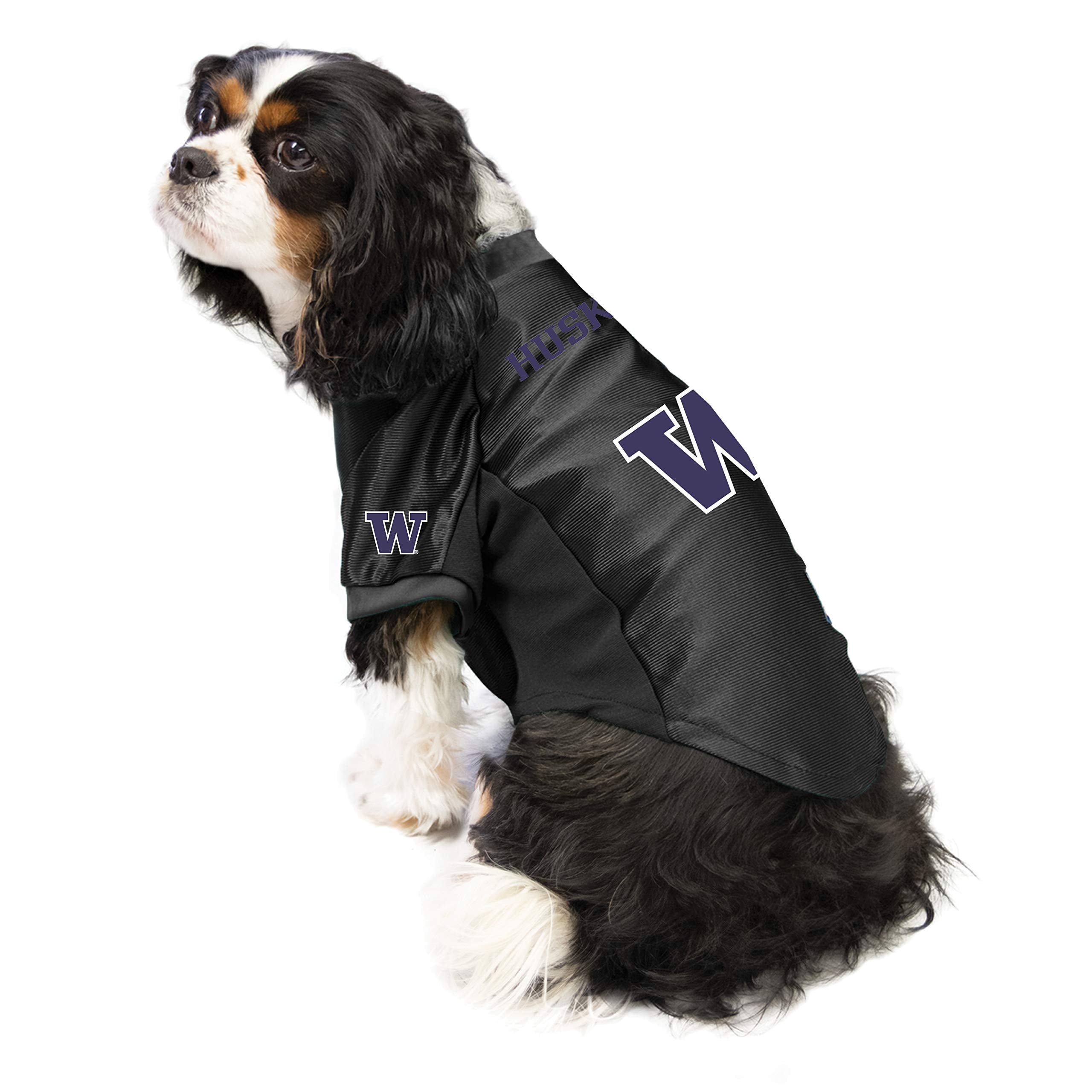Washington Huskies Pet Jersey Stretch Size M - Special Order