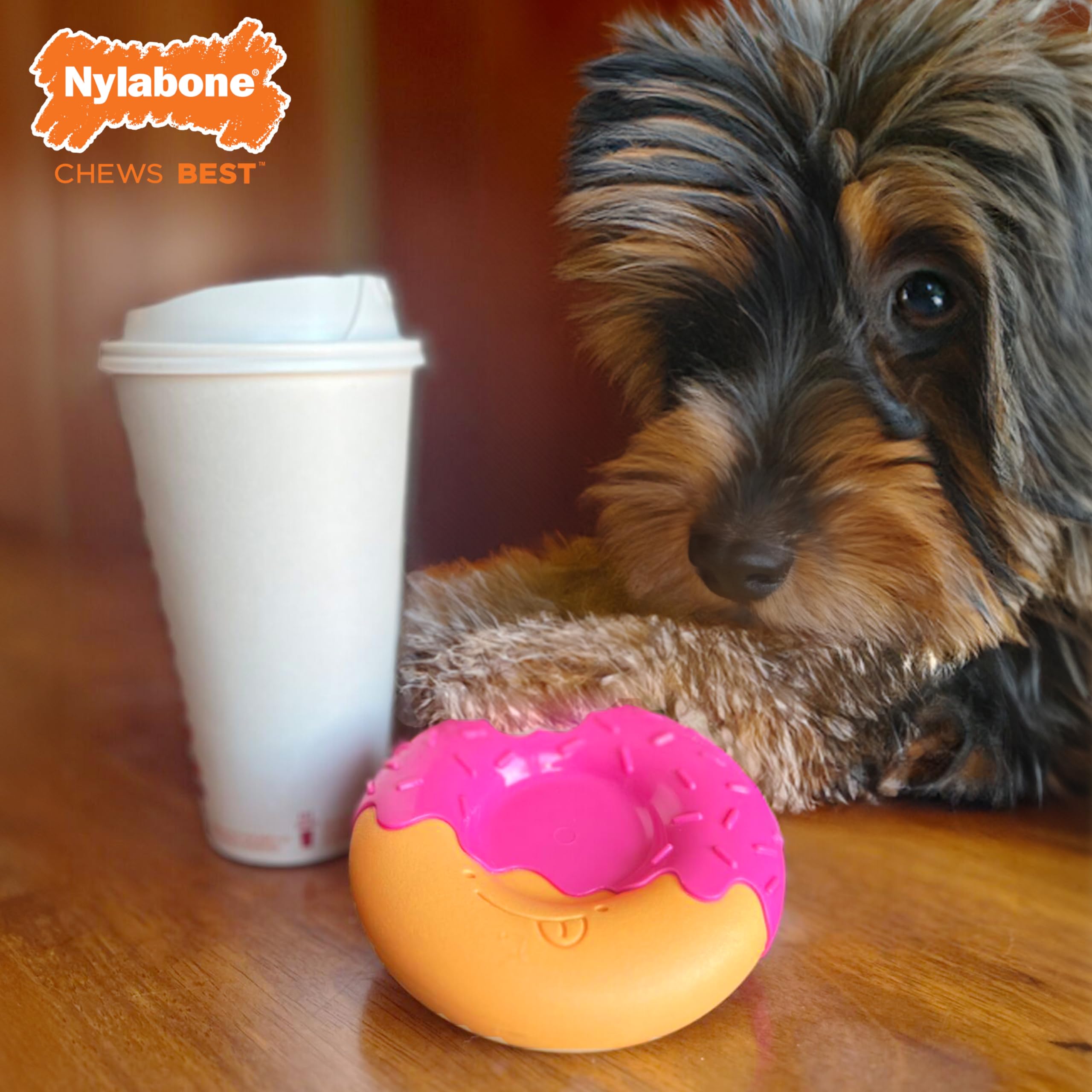 Nylabone Power Chew Donut Dog Chew Toy, Cute Dog Toys for Aggressive Chewers, Cheese Flavor, Bacon Glazed Flavor, Medium/Wolf (1