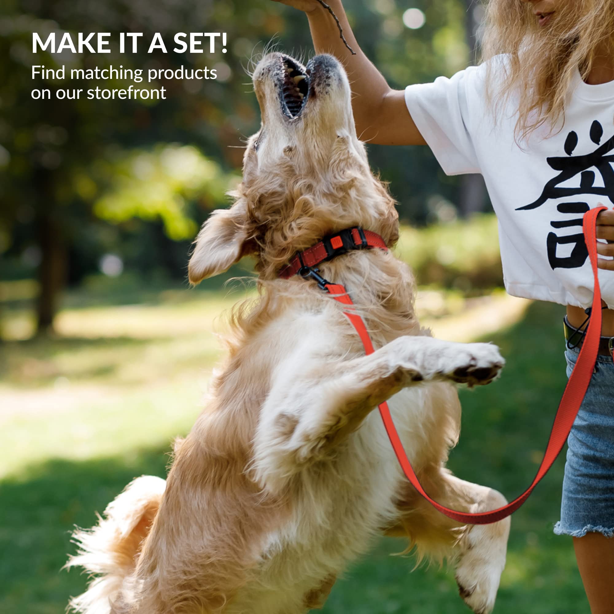 Collardirect Reflective Padded Dog Collar For A Small, Medium, Large Dog Or Puppy With A Quick Release Buckle - Boy And Girl - Nylon Suitable For Swimming (12-16 Inch, Orange)