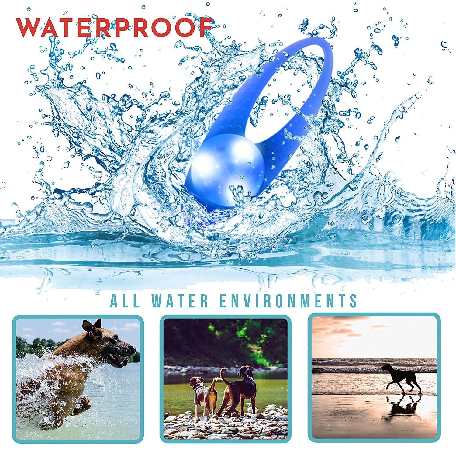 LaRoo LED Dog Collar Lights - Clip-On Night Walking Light for Dogs, 1st Gen, Blue-A