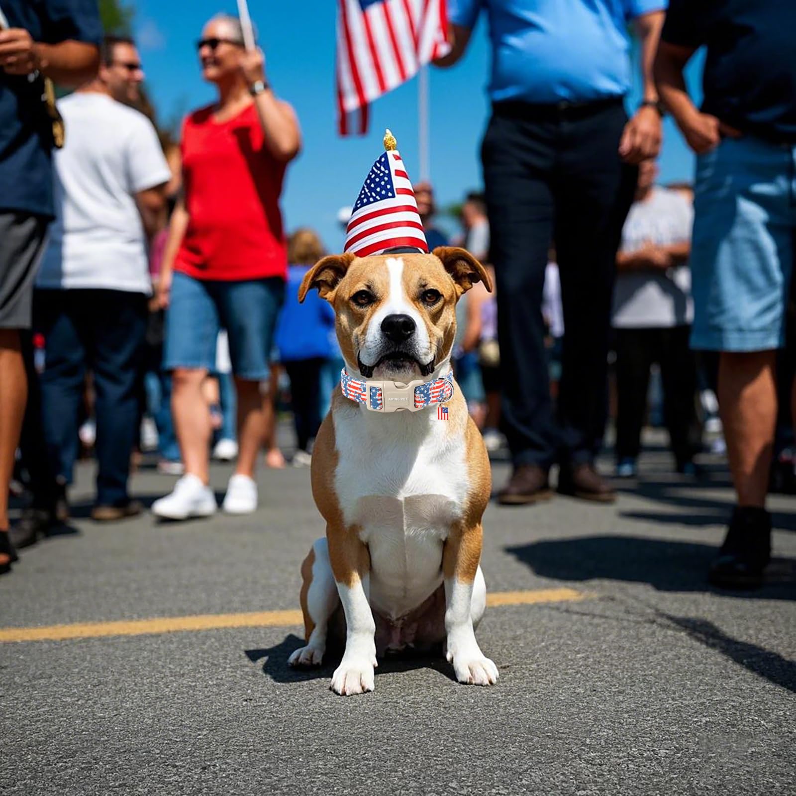 Aring Pet 4Th Of July Dog Collar-Cute Patriotic Dog Collars, Adjustable American Flag Pet Collars Puppy Collar With Quick Releas