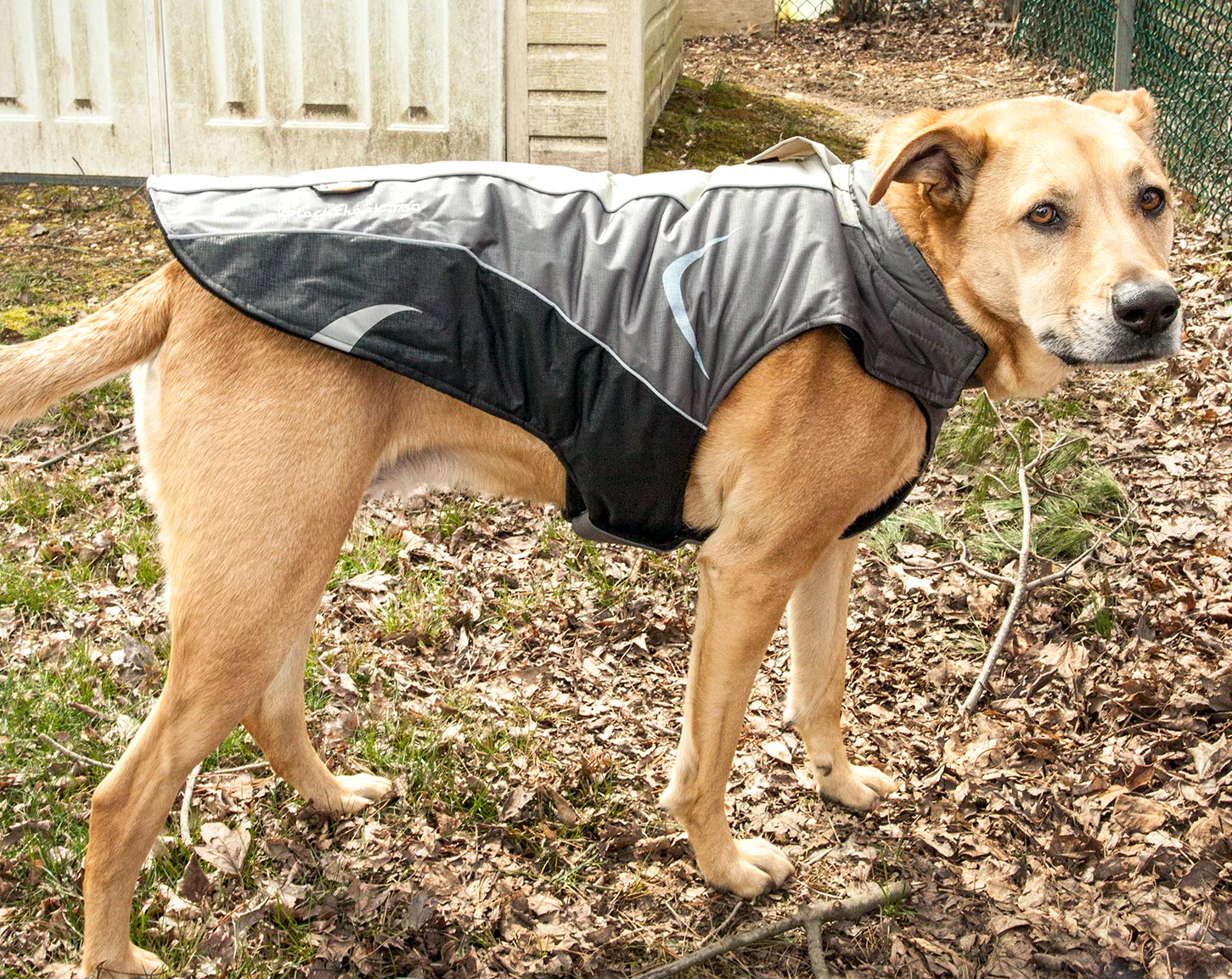 DOGHELIOS Altitude-Mountaineer Wrap-hook and loop Protective Waterproof Pet Dog Coat Jacket w/ Blackshark Technology, Large, B