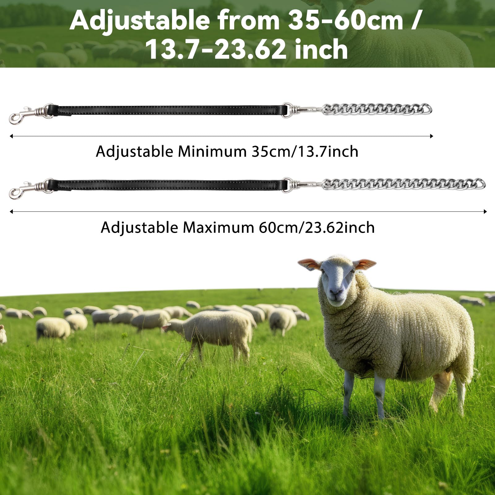 Misdary 2 Pcs Goat Show Collar Adjustable Iron Goat Chain Halter 14-24 Long for Sheep Horse Dog Cow Calf Farm Animal Supplie