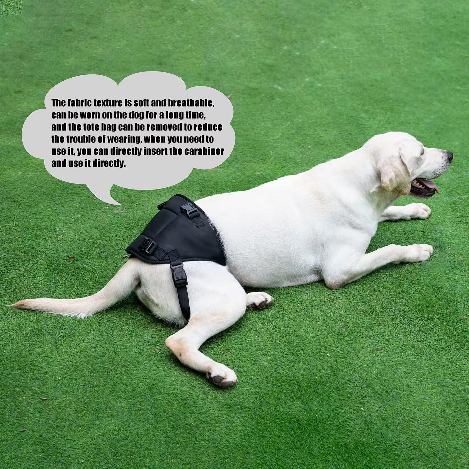 Sling For Dogs With Injuries And Stifle Weakness - Stifle Support Device For Recovery And Disability (Black, S)
