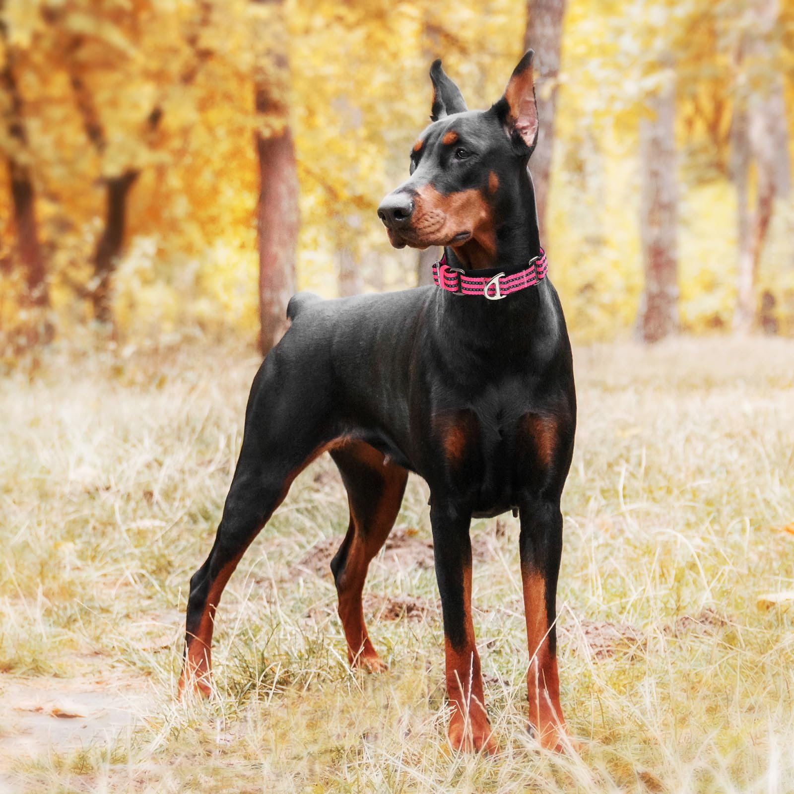 Reflective Martingale Collar For Large Dogs With No Buckle,No Pull Choke Collar With Padded Comfort For Training, Walking & Over