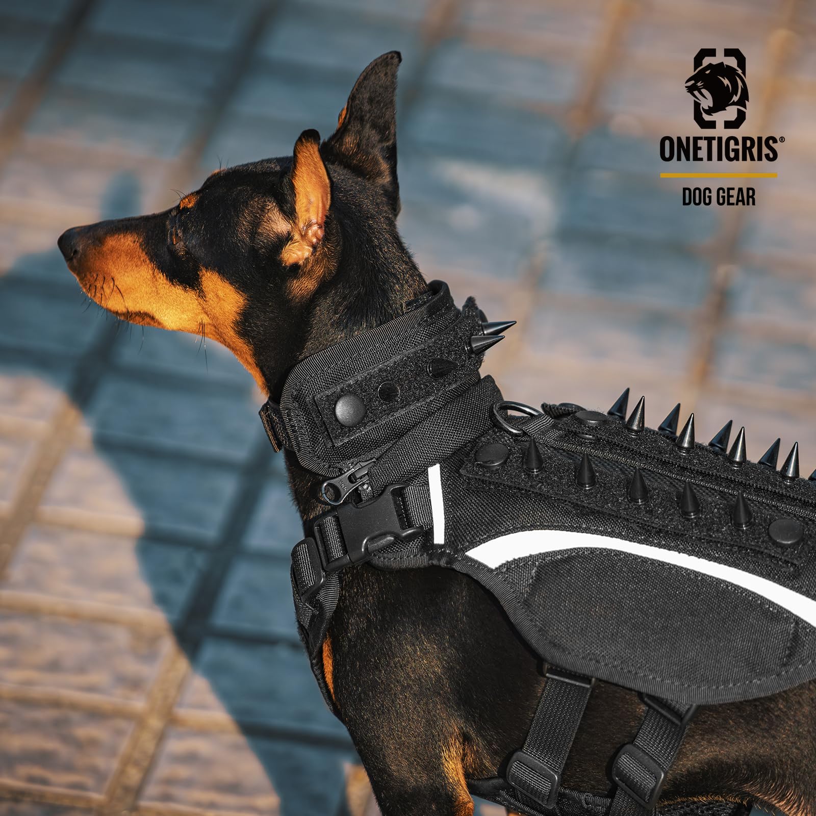 Onetigris Stegosaur Dog Harness With Spikes, Protective Dog Harness With Detachable Collar, Dog Vest With Spikes For Small/Mediu