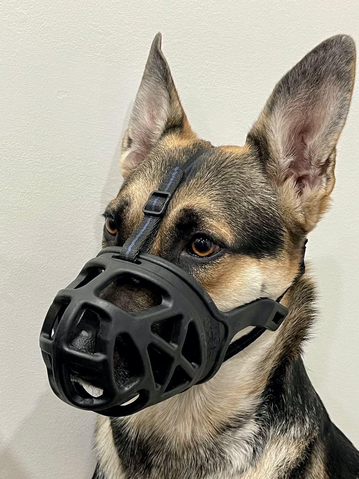 Dog Muzzle, Breathable Basket Muzzles For Small, Medium, Large And X-Large Dogs, Stop Biting, Barking And Chewing, Best For Aggressive Dogs (X-Large, Black)