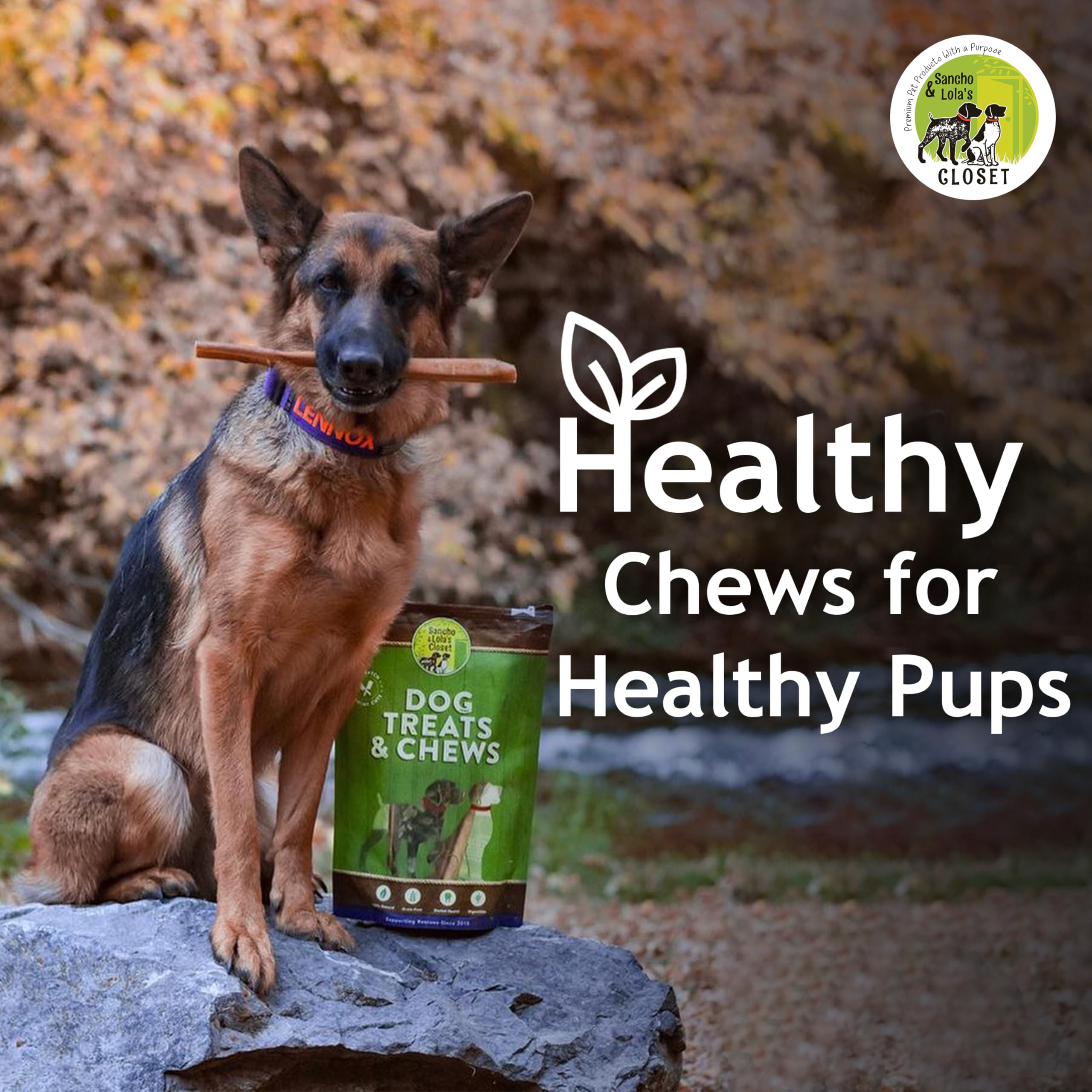 Supreme 12-inch Standard Bully Sticks by Sancho and Lolas (5 Pack) All-Natural, Long-Lasting Dog Chew Treats - Free-Range, Grass