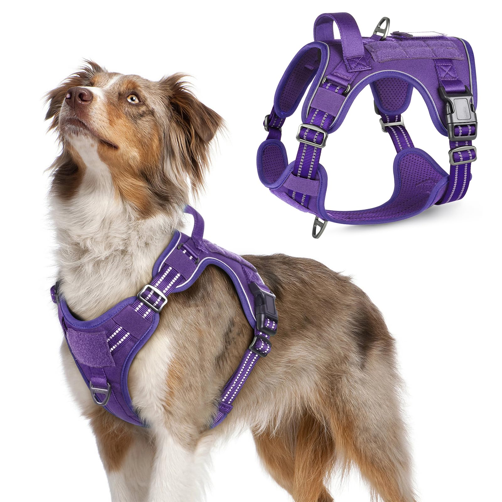 Rabbitgoo Dog Harness No Pull, Military Dog Harness Medium Sized Dog With Handle & Molle, Easy Control Service Dog Vest Harness Training Walking, Adjustable Reflective Tactical Pet Harness, Purple, M